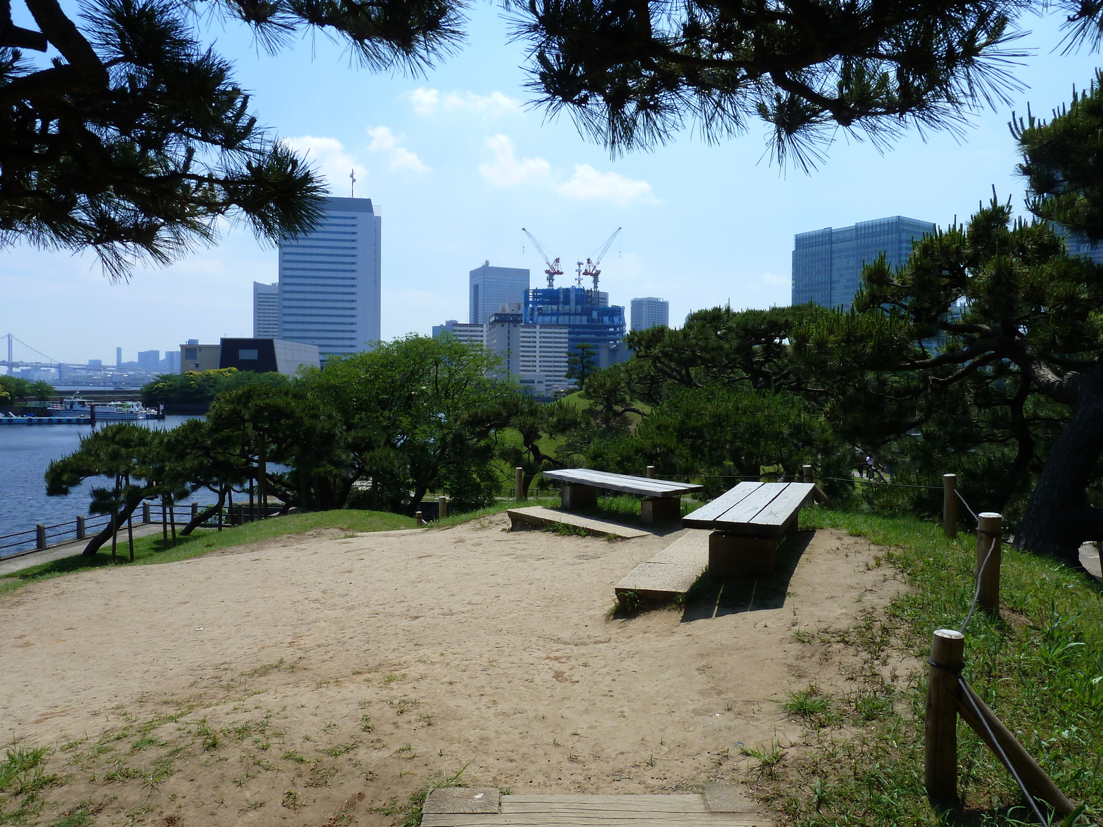 รูปถ่าย ญี่ปุ่น(Japan) โตเกียว(Tokyo) สวนฮามะริคิว(Hama rikyu Gardens) 2010-06 40
