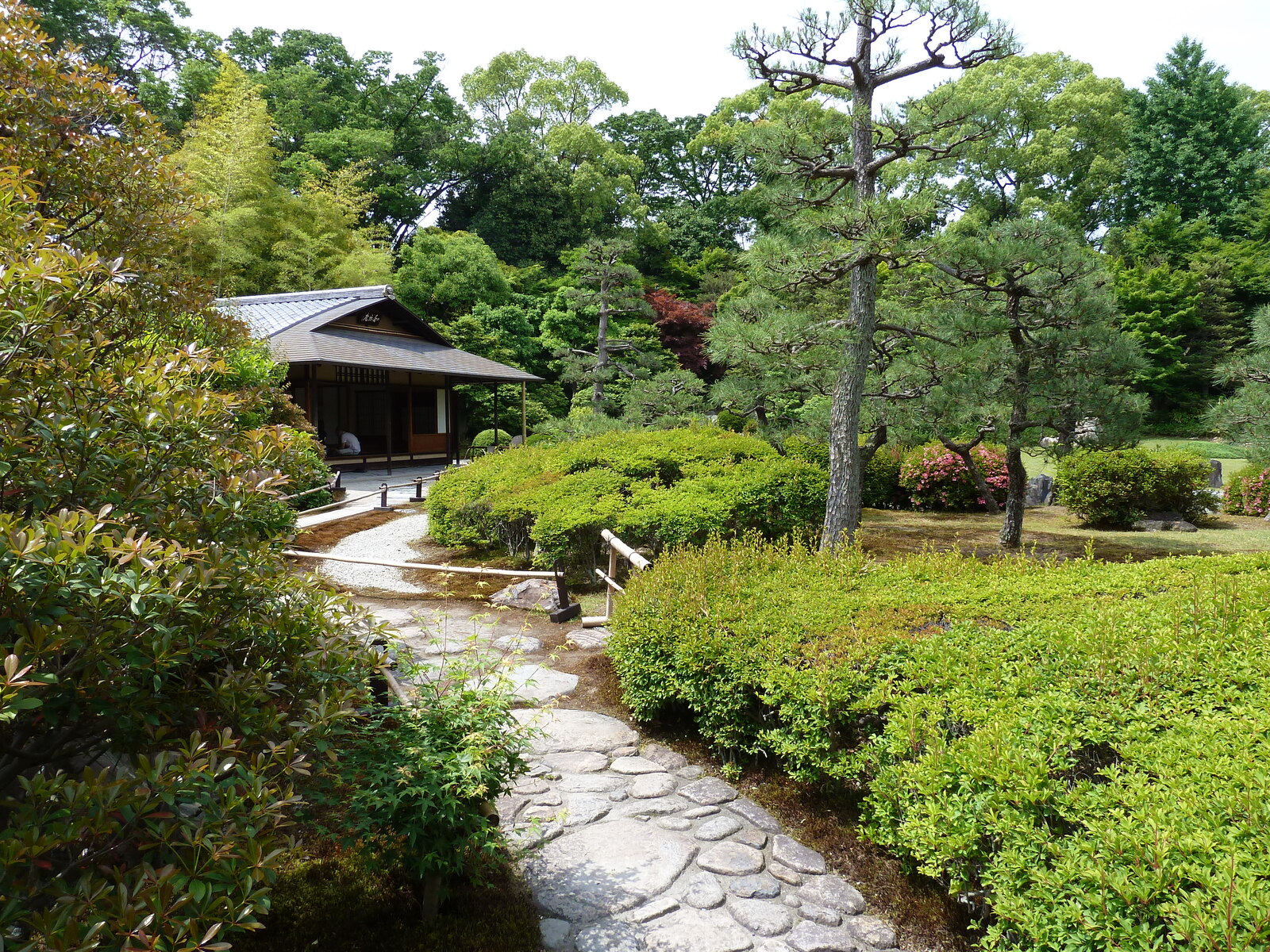 รูปถ่าย ญี่ปุ่น(Japan) เกียวโต(Kyoto) ปราสาทนิโจ(Nijo Castle) 2010-06 21