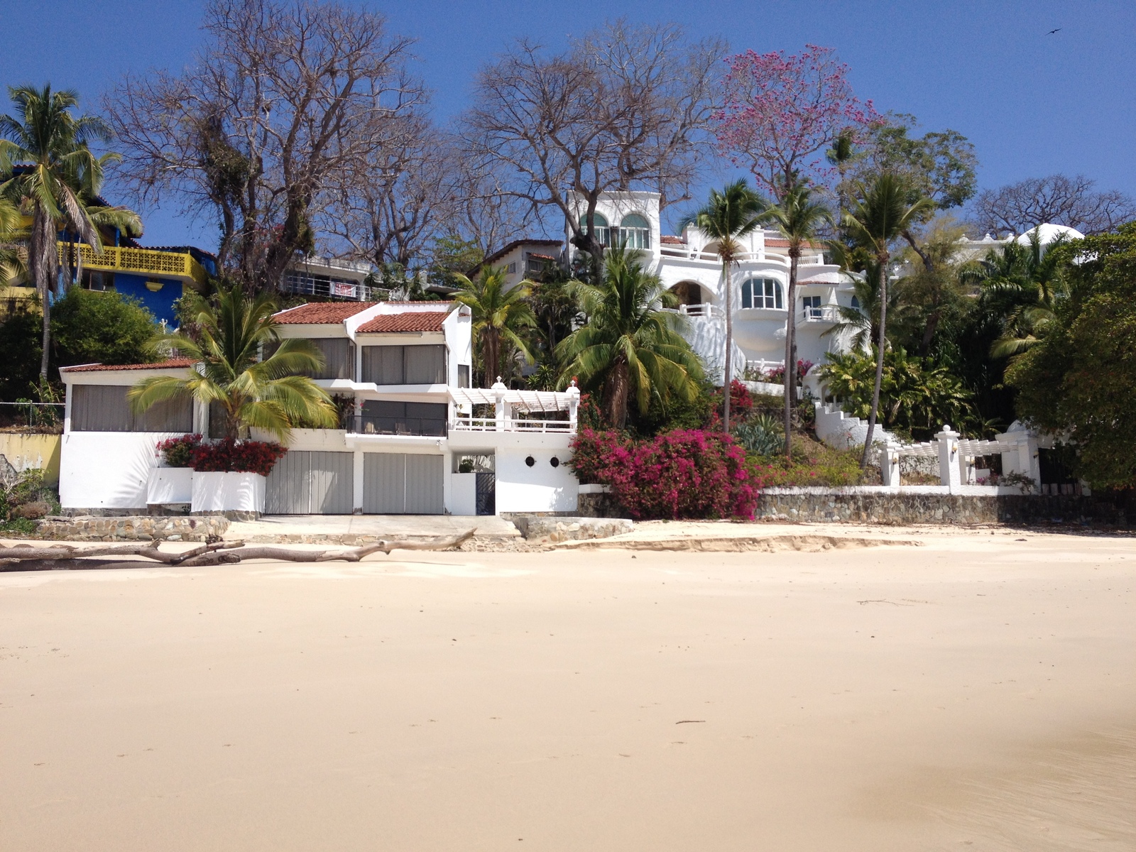 รูปถ่าย ปานามา(Panama) เกาะคอนตาโดรา(Contadora Island) 2015-03 68