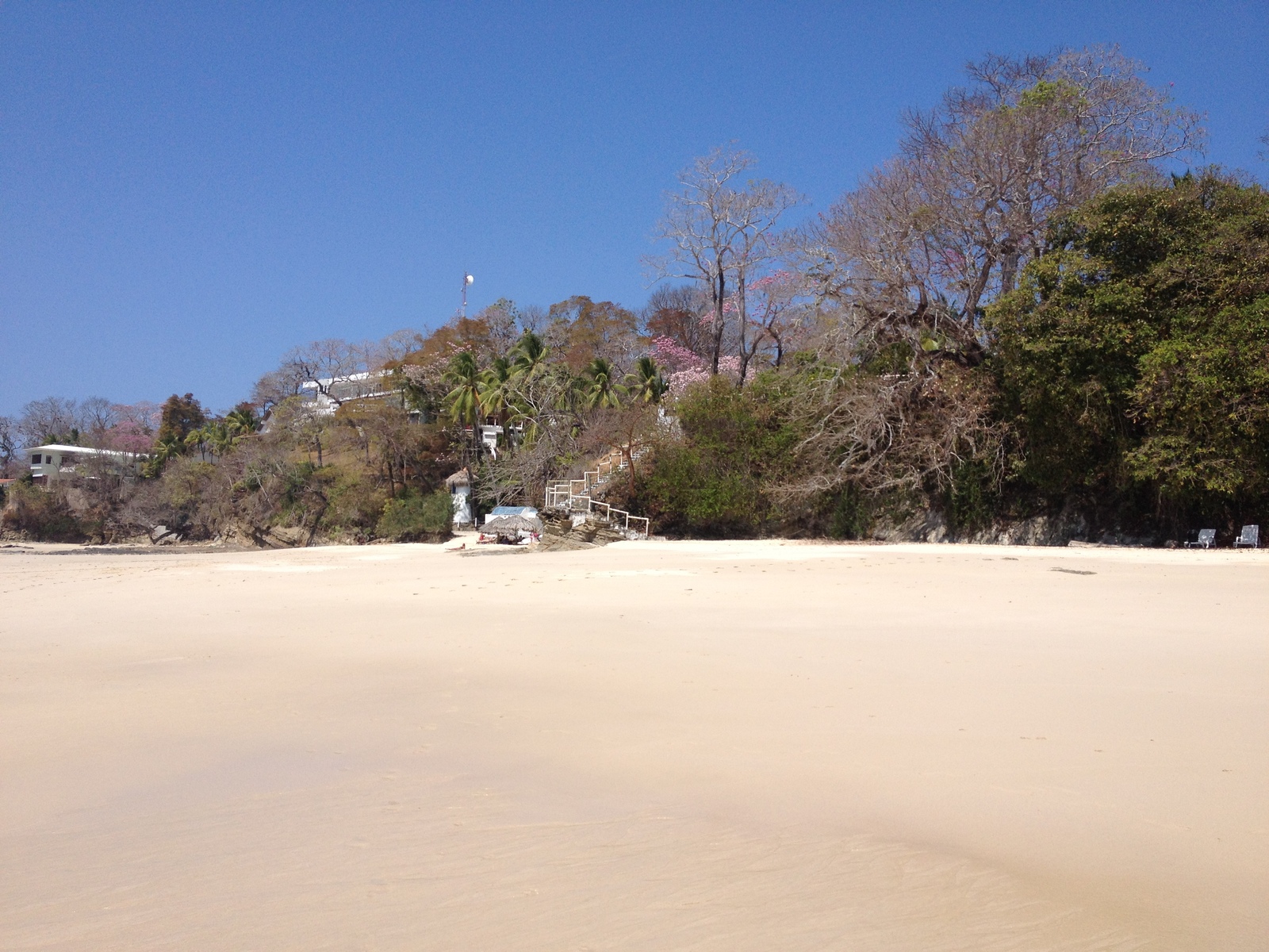 รูปถ่าย ปานามา(Panama) เกาะคอนตาโดรา(Contadora Island) 2015-03 69