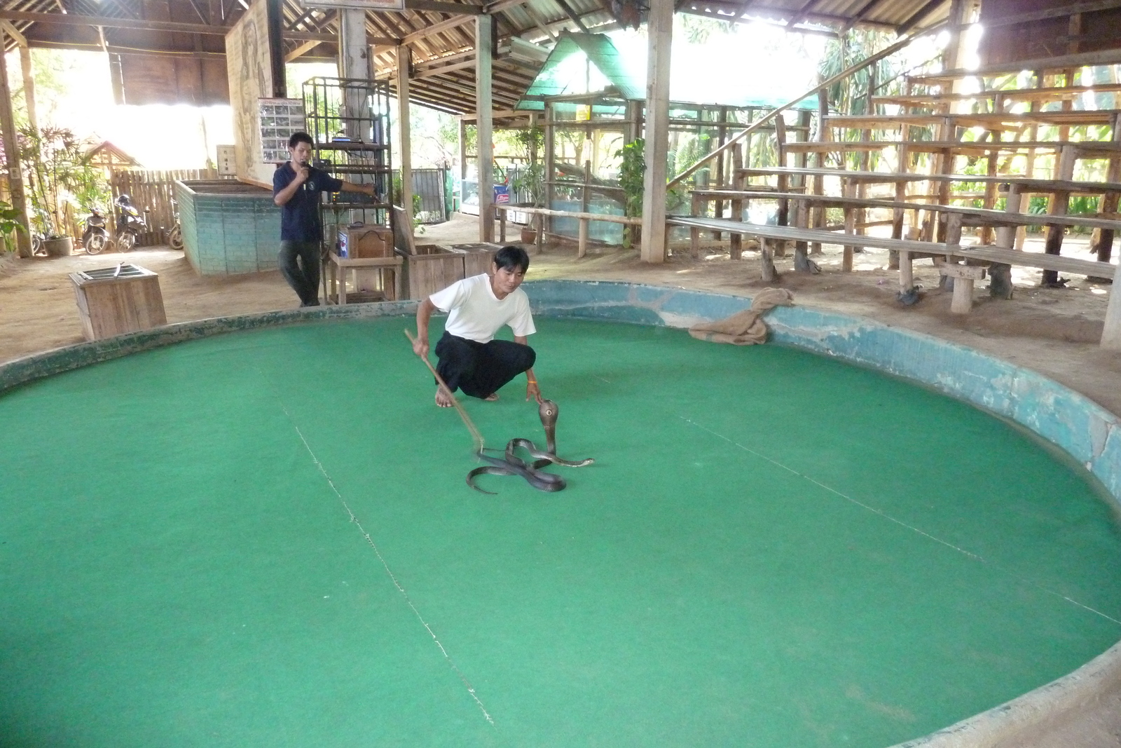 รูปถ่าย ไทย(Thailand) เชียงใหม่(Chiang Mai) ฟาร์มงูแม่สา(Mae Sa Snake Farm) 2010-12 15