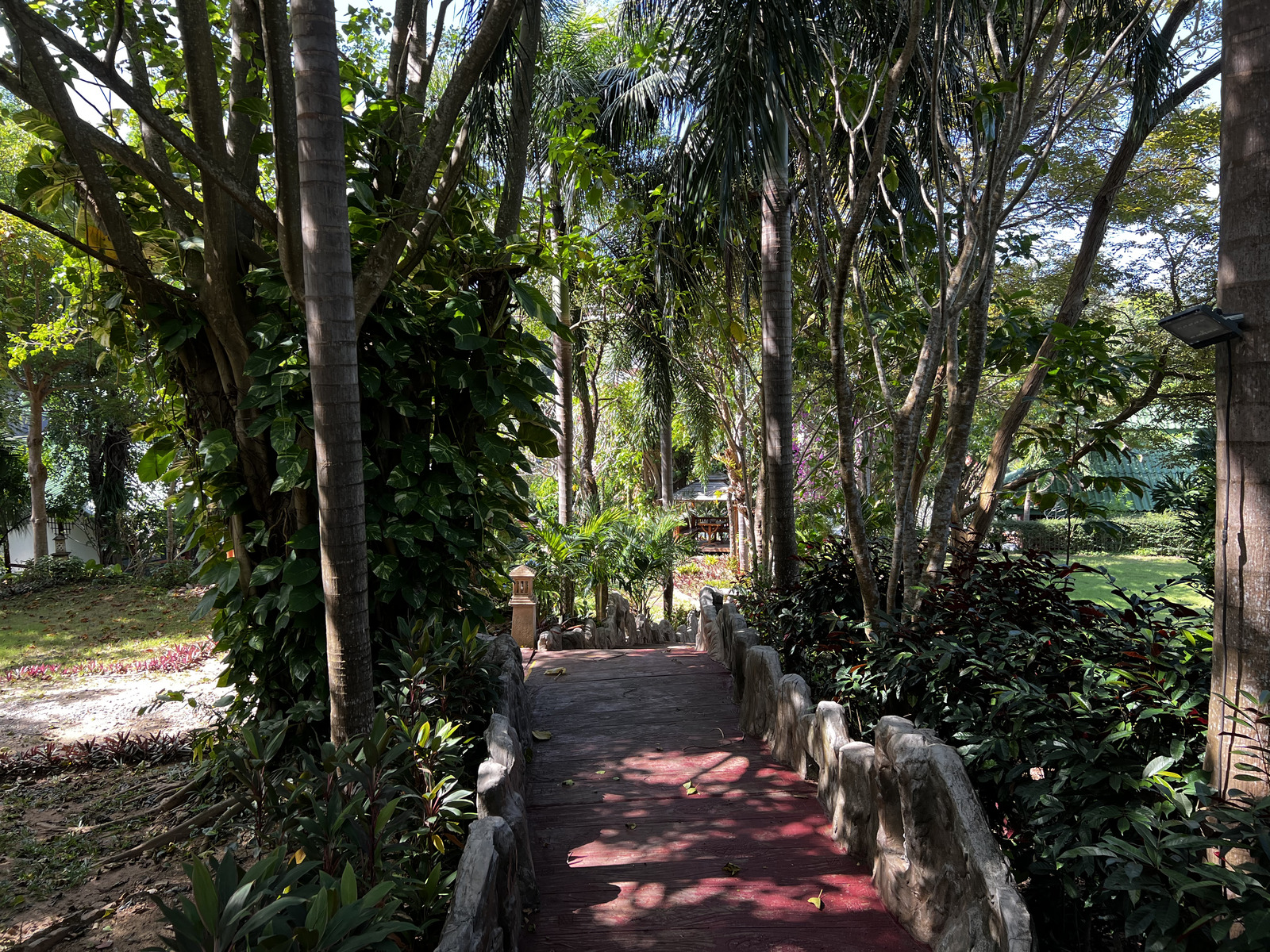 รูปถ่าย ไทย(Thailand) ภูเก็ต(Phuket) หาดกะตะ(Kata Beach) กะตะการ์เด้นรีสอร์ต(Kata Garden Resort) 2021-12 8