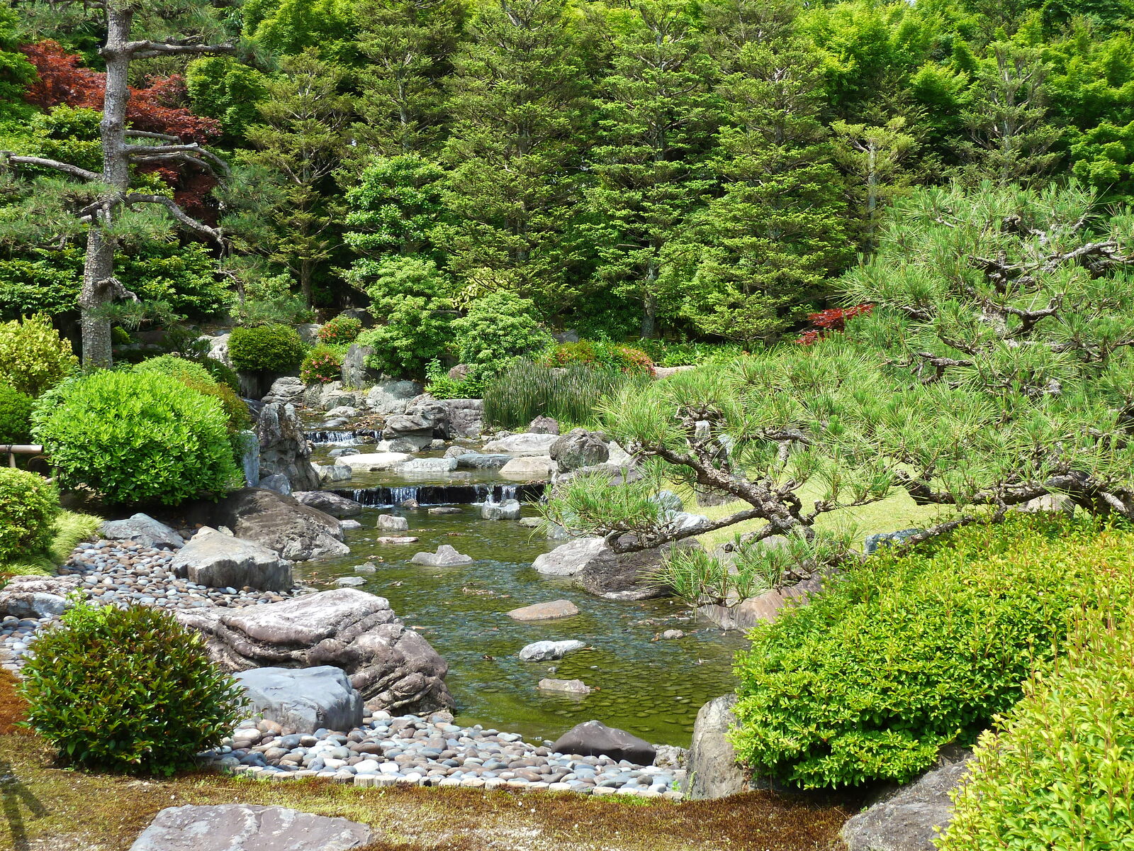 รูปถ่าย ญี่ปุ่น(Japan) 2010-06 1
