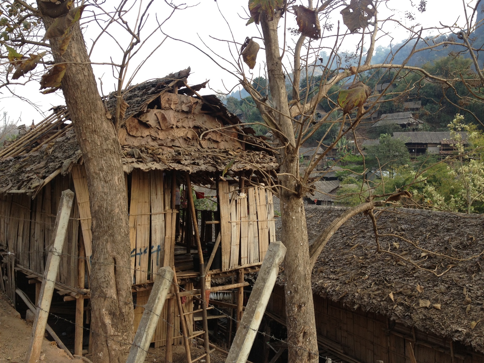 รูปถ่าย ไทย(Thailand) แม่สอด(Mae Sot) 2014-02 39