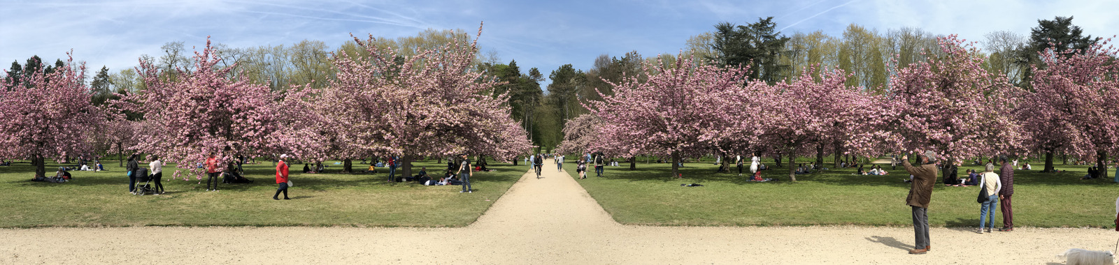 รูปถ่าย ฝรั่งเศส(France) สวนโซ(Parc de Sceaux) 2019-04 52