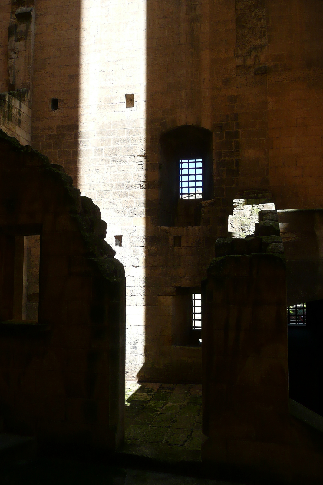 รูปถ่าย ฝรั่งเศส(France) ตาราสกง(Tarascon) ปราสาทตาราสกง(Tarascon Castle) 2008-04 178