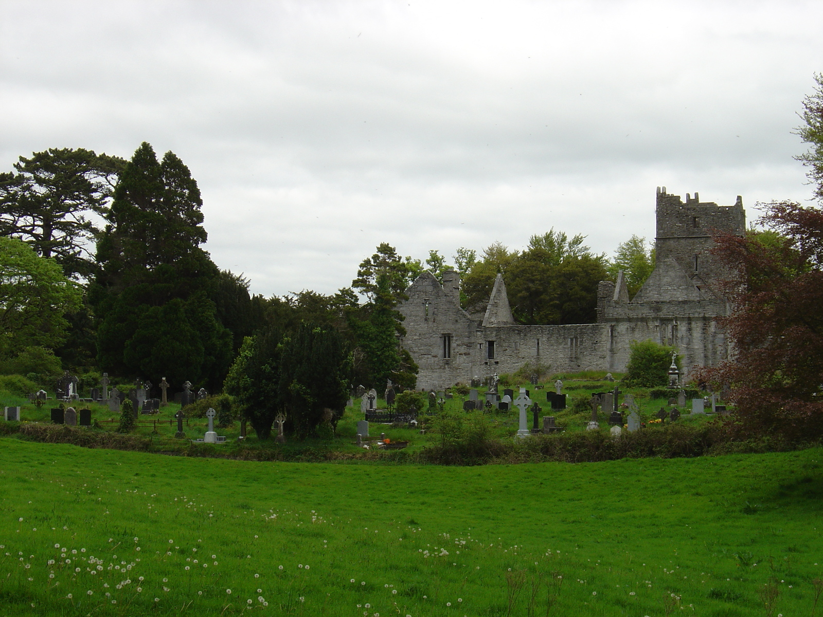 รูปถ่าย ไอร์แลนด์(Ireland) เคอร์รี่(Kerry) สวนสาธารณะคิลลาร์นีย์เนชั่นเนล(Killarney National Park) ทะเลสาบมัครอส(Muckross Lake) 2004-05 17