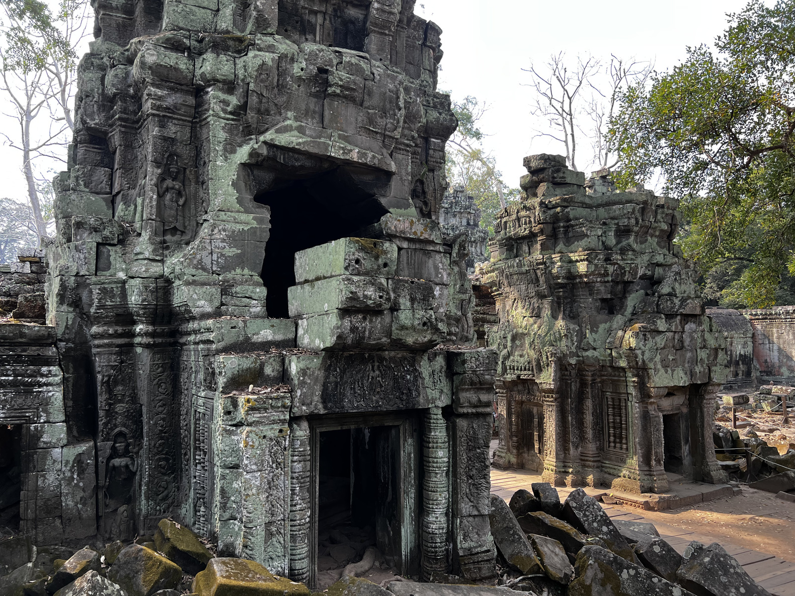 รูปถ่าย กัมพูชา(Cambodia) เสียมราฐ(Siem Reap) ปราสาทตาพรหม(Ta Prohm) 2023-01 100