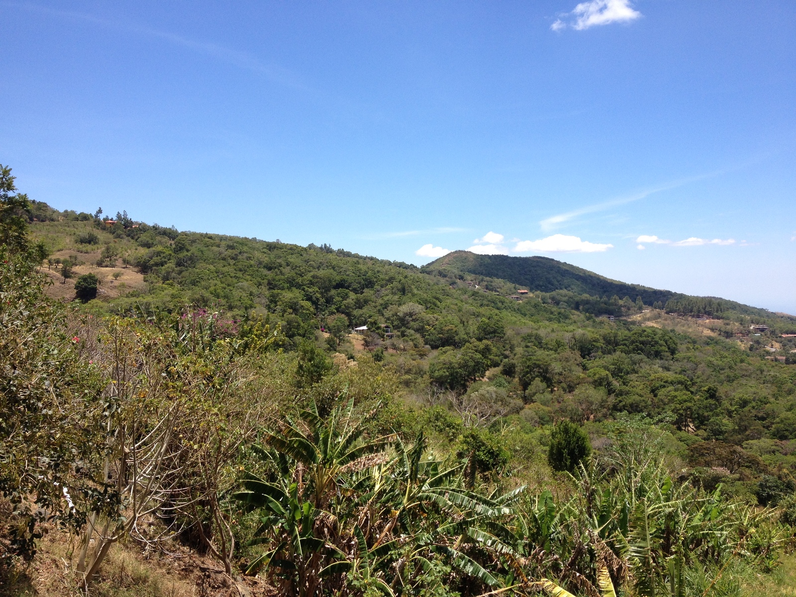 รูปถ่าย ปานามา(Panama) โบเกเต(Boquete) 2015-03 58
