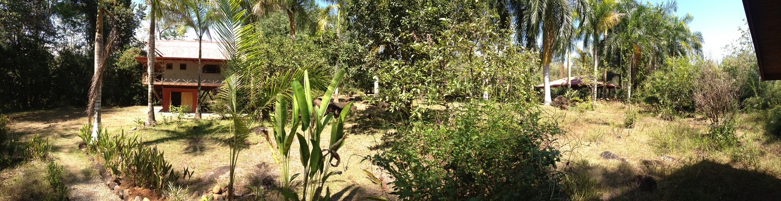 รูปถ่าย คอสตาริกา(Costa Rica) อูบีตา(Uvita) 2015-03 86