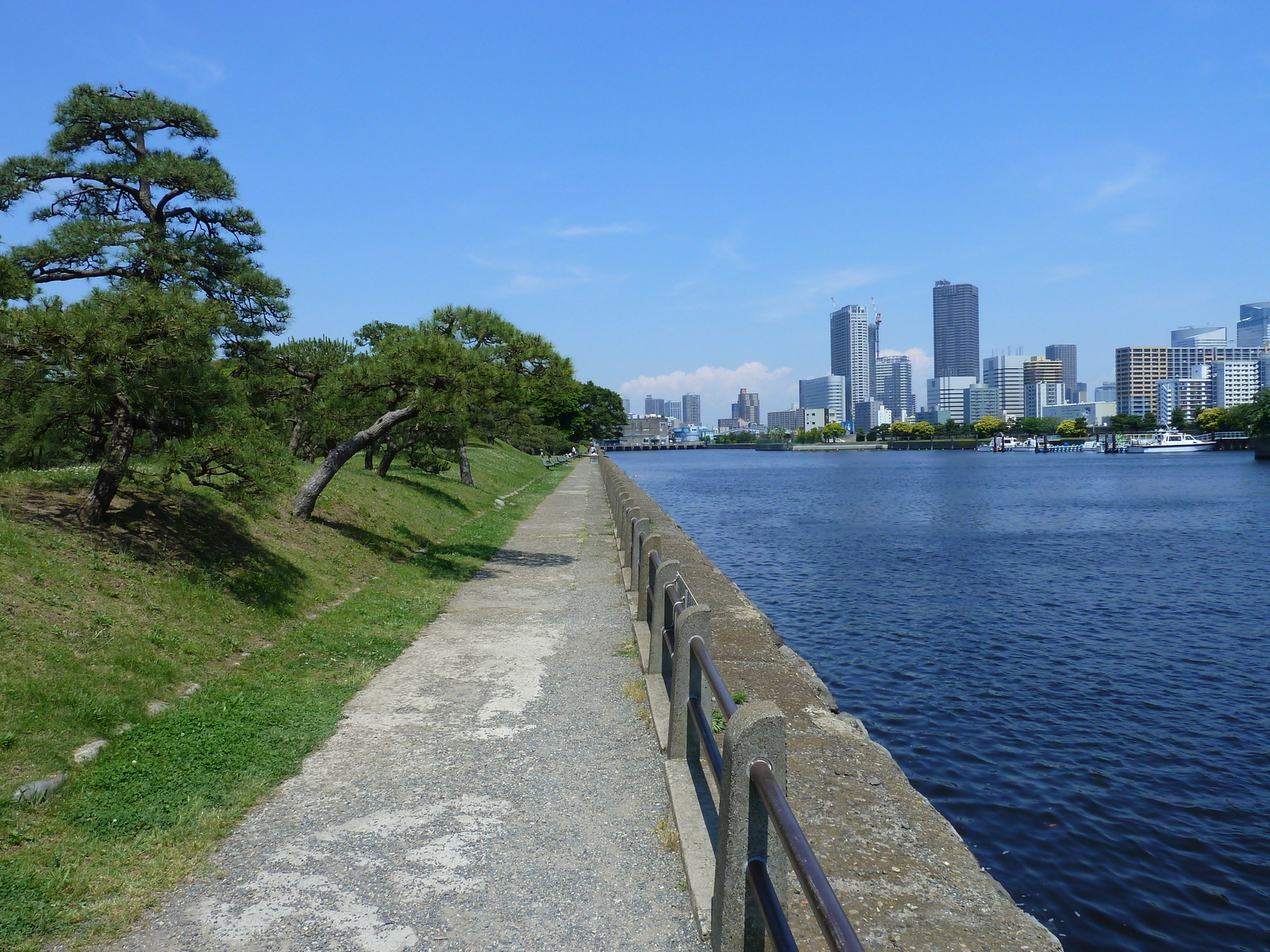 รูปถ่าย ญี่ปุ่น(Japan) โตเกียว(Tokyo) สวนฮามะริคิว(Hama rikyu Gardens) 2010-06 5