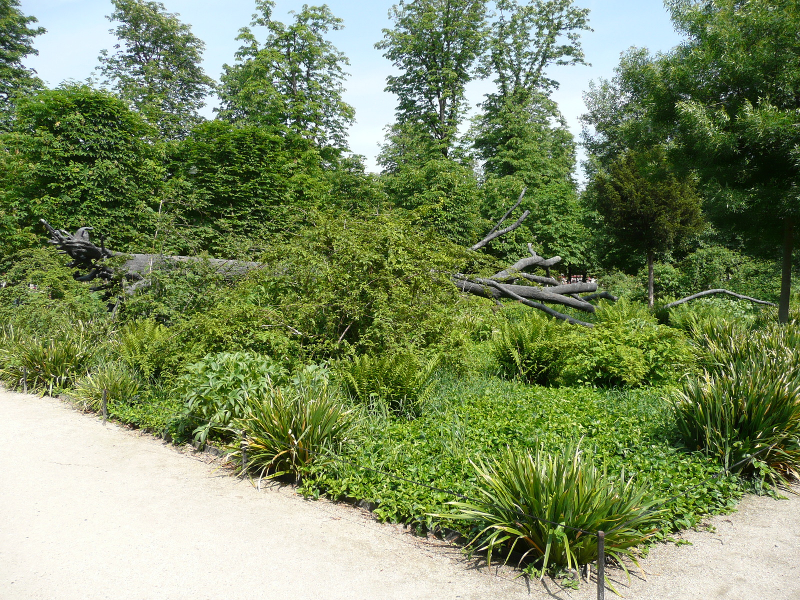 รูปถ่าย ฝรั่งเศส(France) ปารีส(Paris) สวนตุยเลอรี(Garden of Tuileries) 2007-05 290