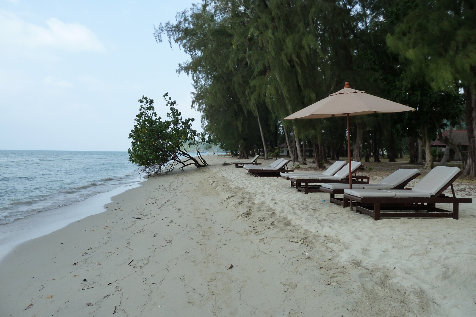 รูปถ่าย ไทย(Thailand) เกาะช้าง(Ko Chang) หาดคลองพร้าว(Klong Prao beach) 2011-02 65
