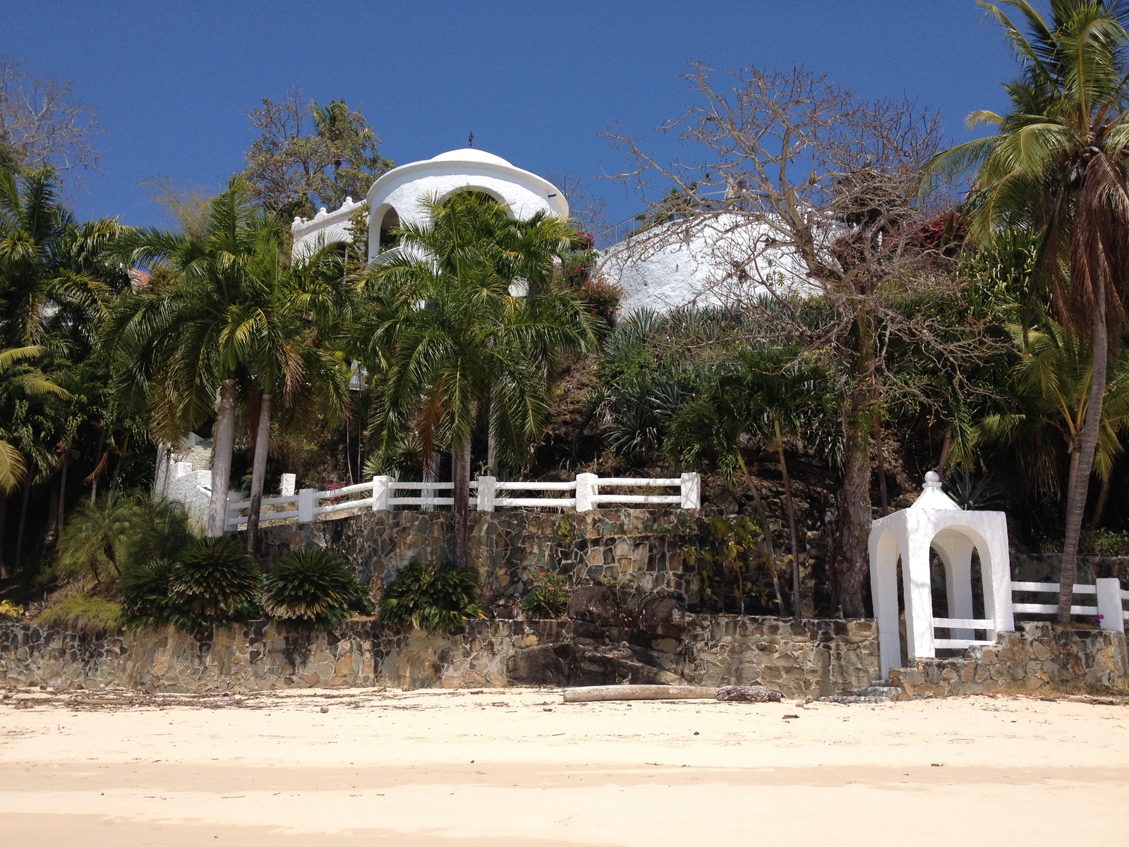 รูปถ่าย ปานามา(Panama) เกาะคอนตาโดรา(Contadora Island) 2015-03 118