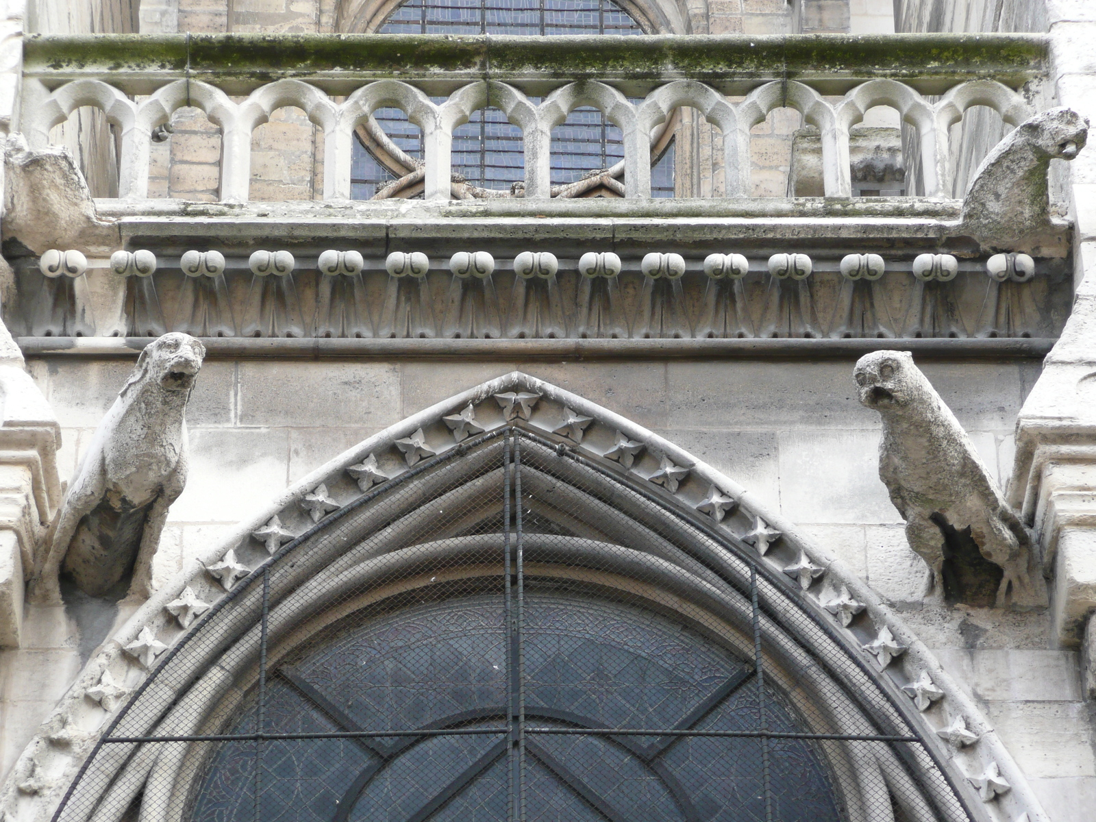 รูปถ่าย ฝรั่งเศส(France) ปารีส(Paris) มหาวิหารน็อทร์-ดาม(Notre Dame) 2007-05 137
