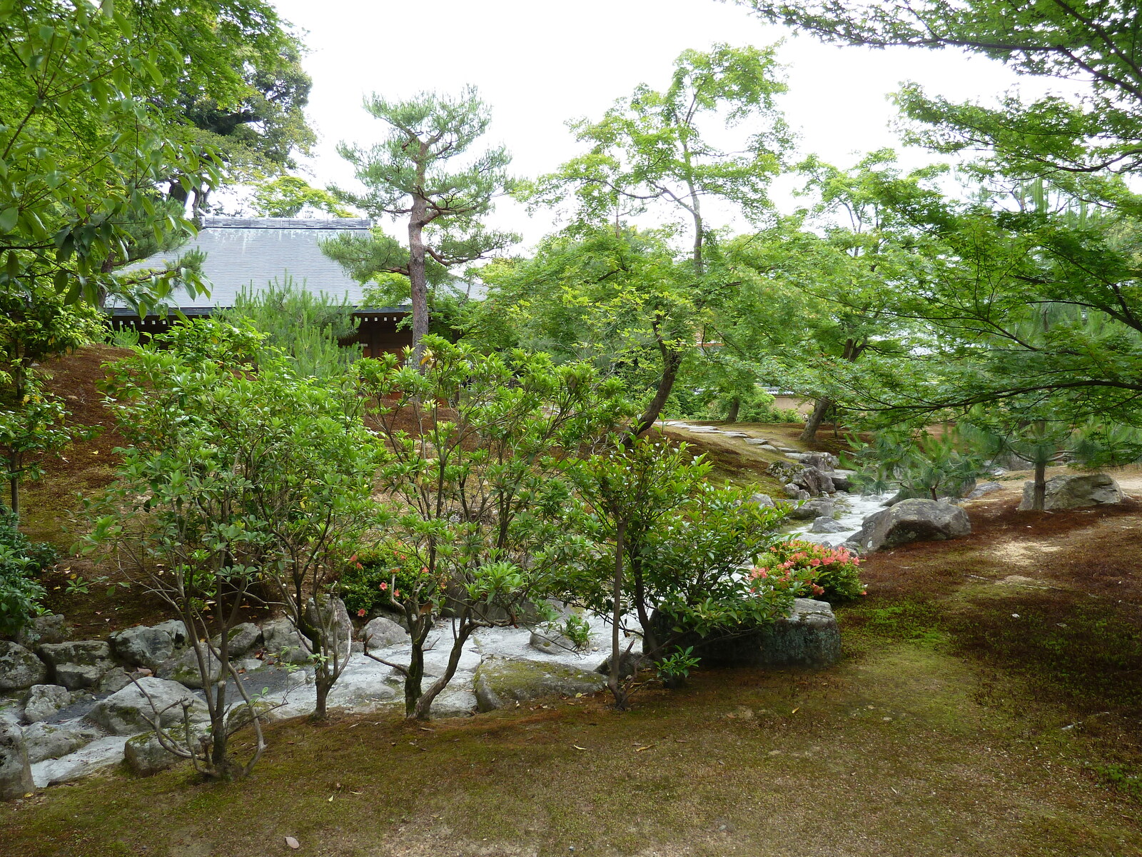 รูปถ่าย ญี่ปุ่น(Japan) เกียวโต(Kyoto) วัดคินกะกุจิ (ศาลาทอง)(Kinkakuji Temple(Golden Pavilion)) 2010-06 56
