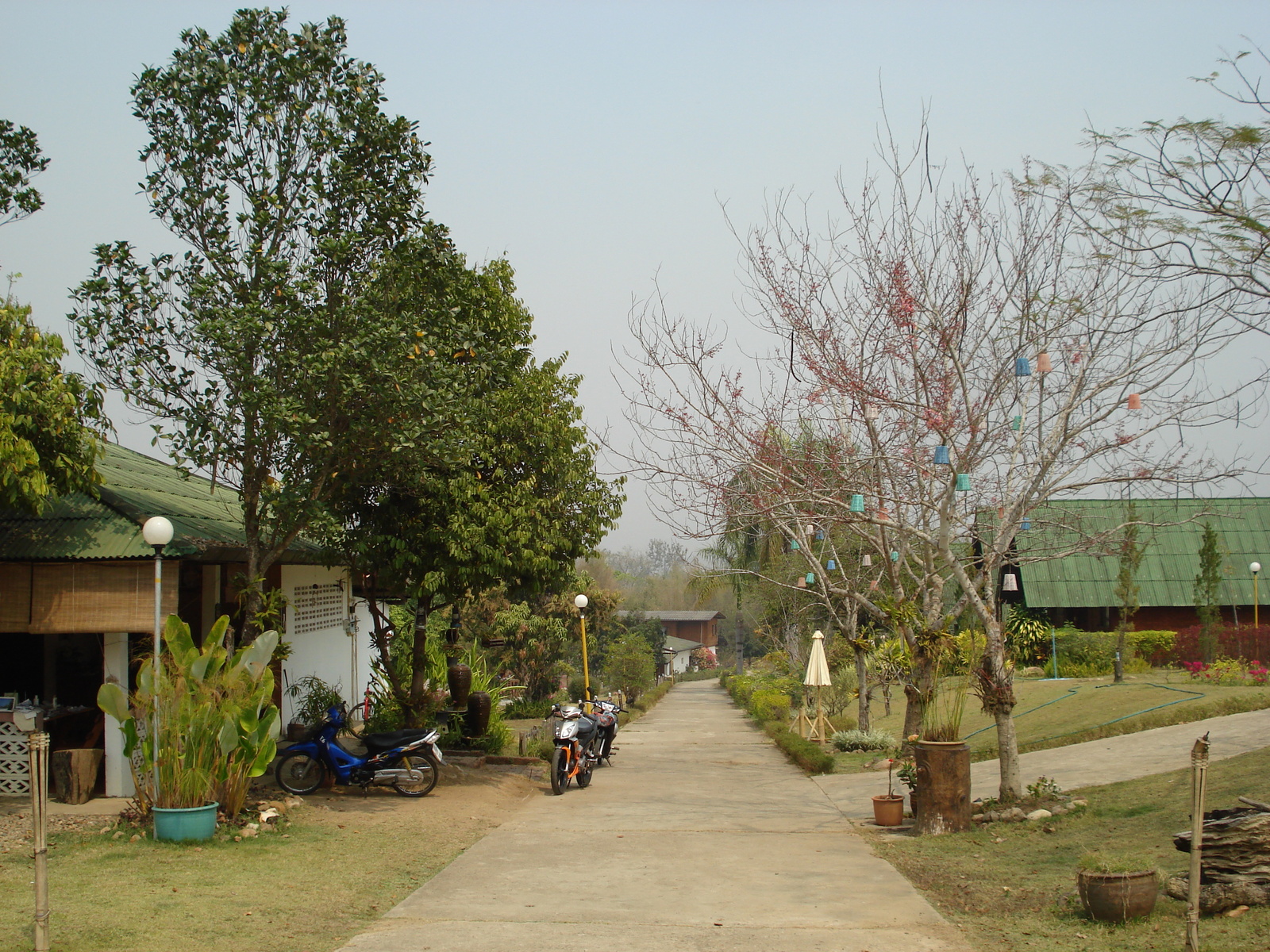 รูปถ่าย ไทย(Thailand) ปาย(Pai) 2007-02 22