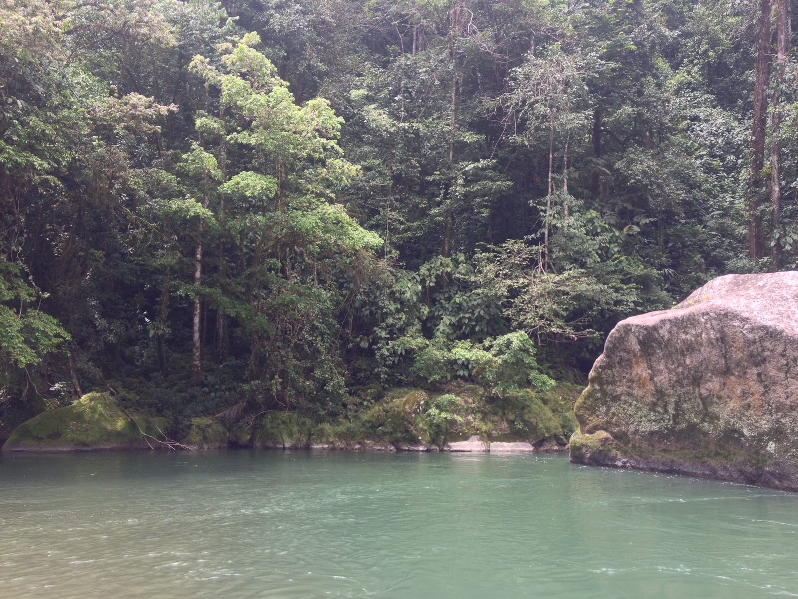 รูปถ่าย คอสตาริกา(Costa Rica) แม่น้ำปากัวเร(Pacuare River) 2015-03 197