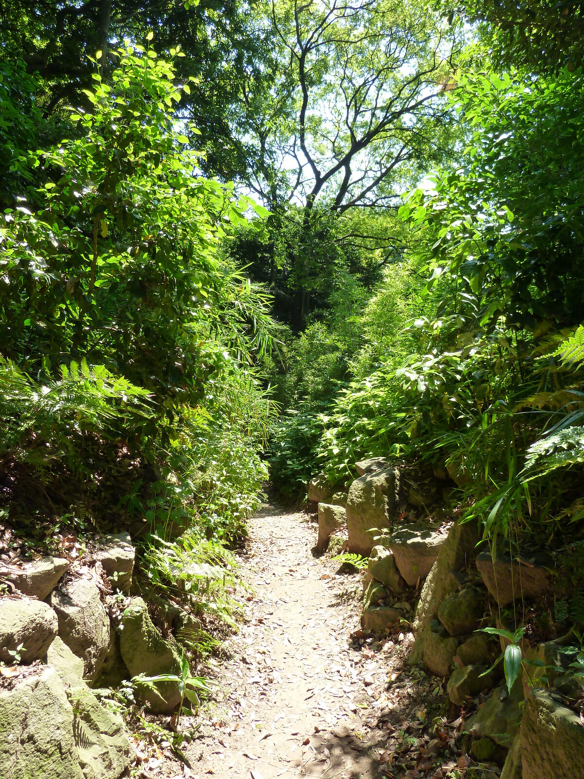รูปถ่าย ญี่ปุ่น(Japan) โตเกียว(Tokyo) สวนฮามะริคิว(Hama rikyu Gardens) 2010-06 10