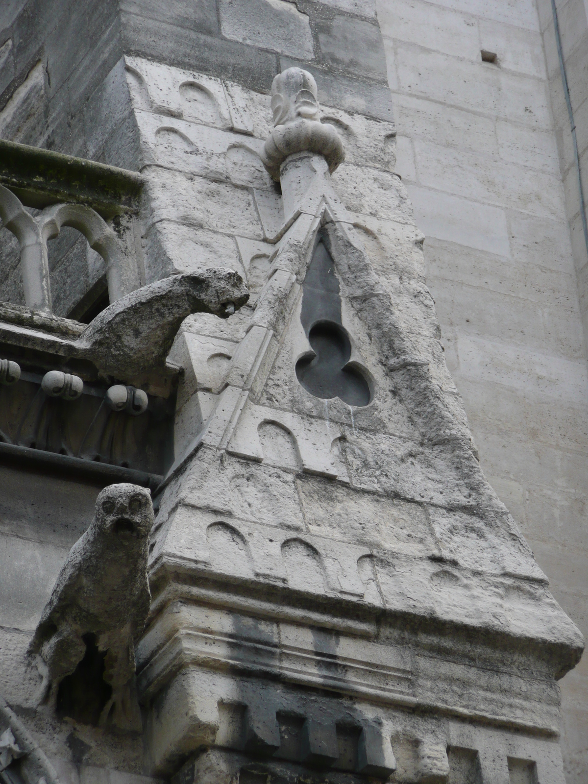 รูปถ่าย ฝรั่งเศส(France) ปารีส(Paris) มหาวิหารน็อทร์-ดาม(Notre Dame) 2007-05 163