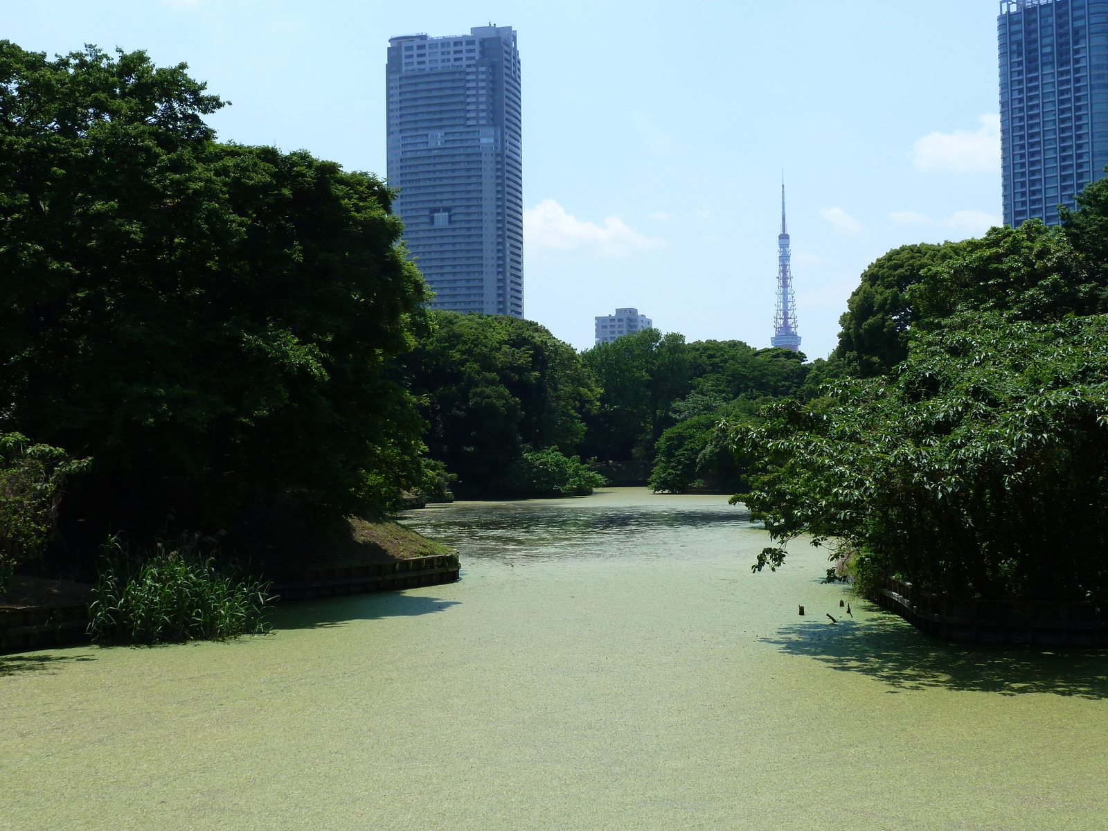 รูปถ่าย ญี่ปุ่น(Japan) โตเกียว(Tokyo) สวนฮามะริคิว(Hama rikyu Gardens) 2010-06 13
