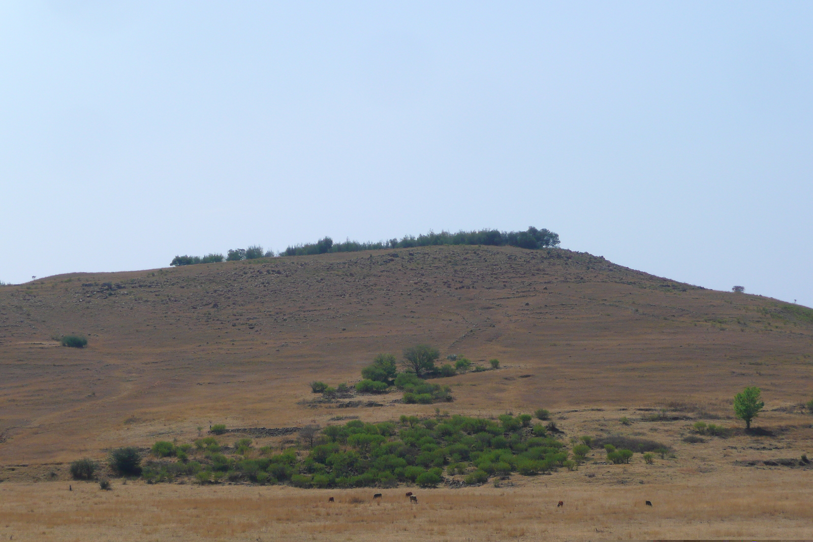 รูปถ่าย แอฟริกาใต้(South Africa) ถนนจากเนลสปรุตไปโจฮันเนสเบิร์ก(Nelspruit to Johannesburg road) 2008-09 114