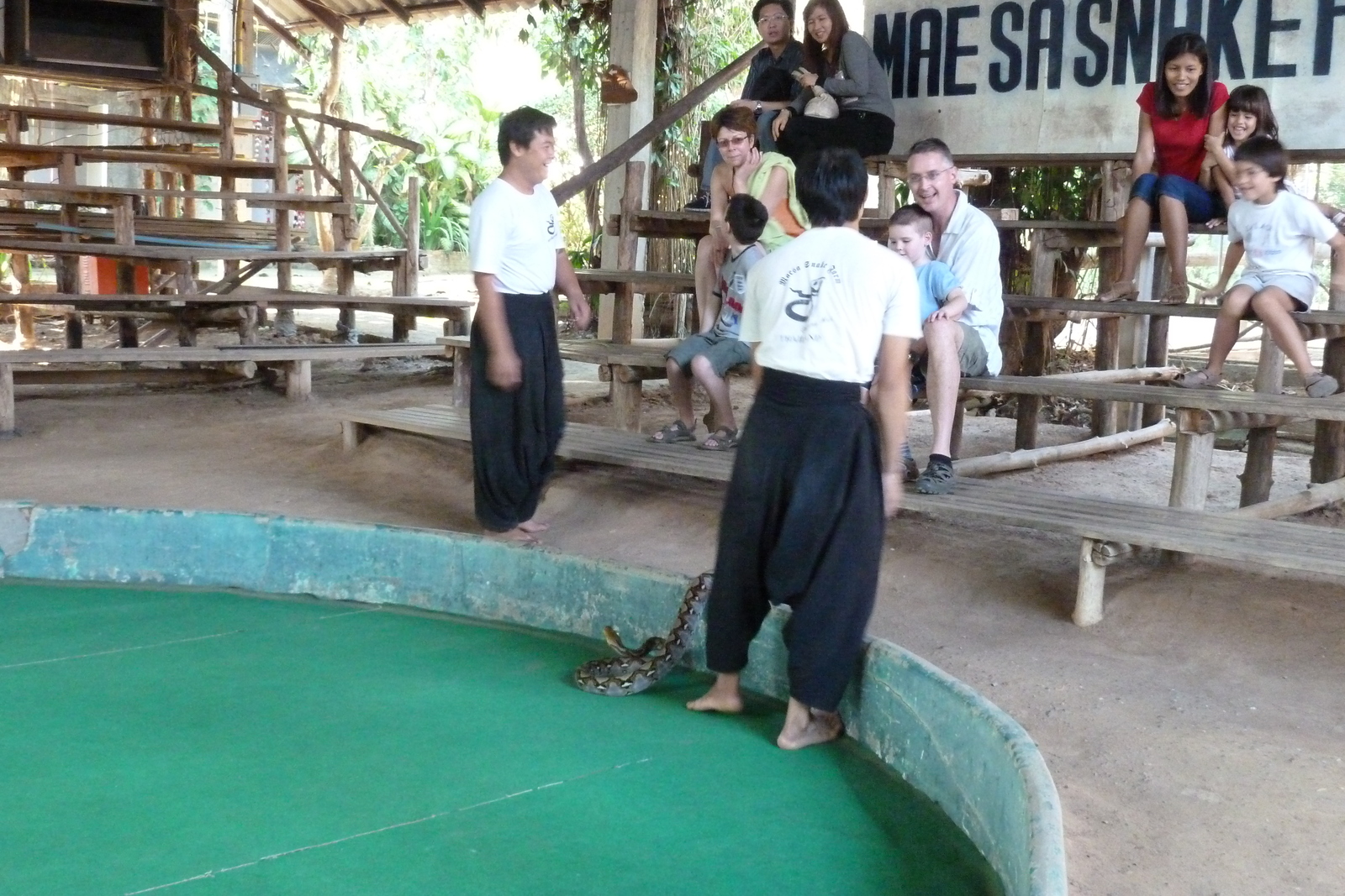 รูปถ่าย ไทย(Thailand) เชียงใหม่(Chiang Mai) ฟาร์มงูแม่สา(Mae Sa Snake Farm) 2010-12 88
