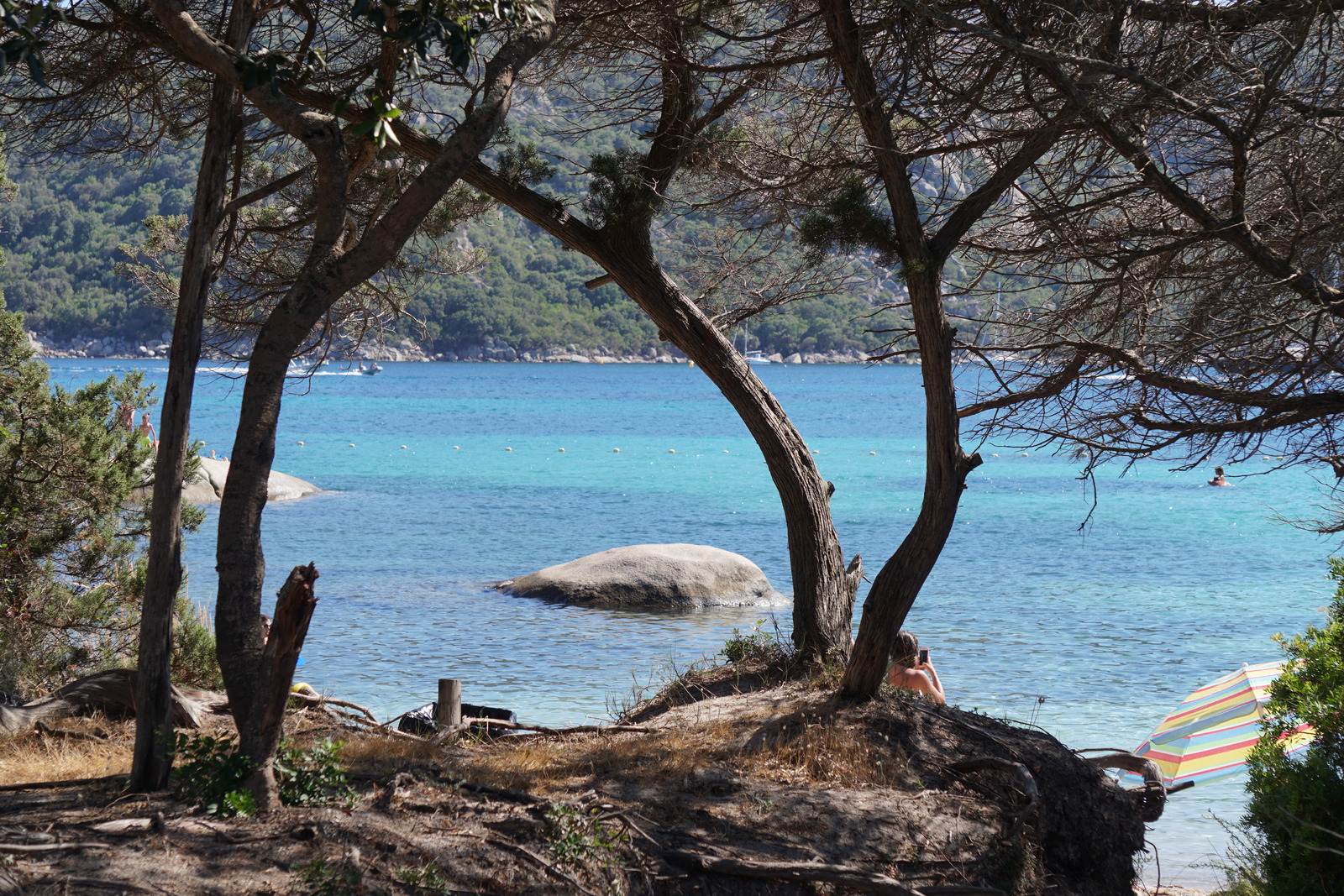 รูปถ่าย ฝรั่งเศส(France) คอร์สิคา(Corsica) หาดซันตาจูเลีย(Santa Giulia Beach) 2017-07 31