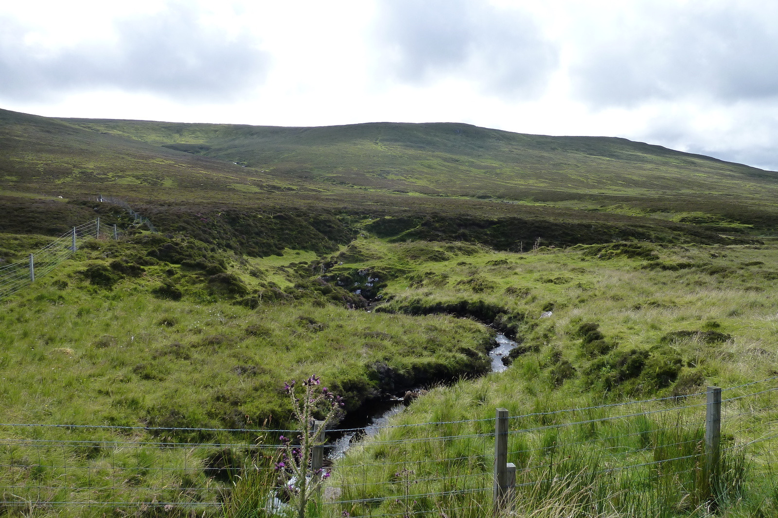 รูปถ่าย อังกฤษ(United Kingdom) เกาะสกาย(Skye) 2011-07 199