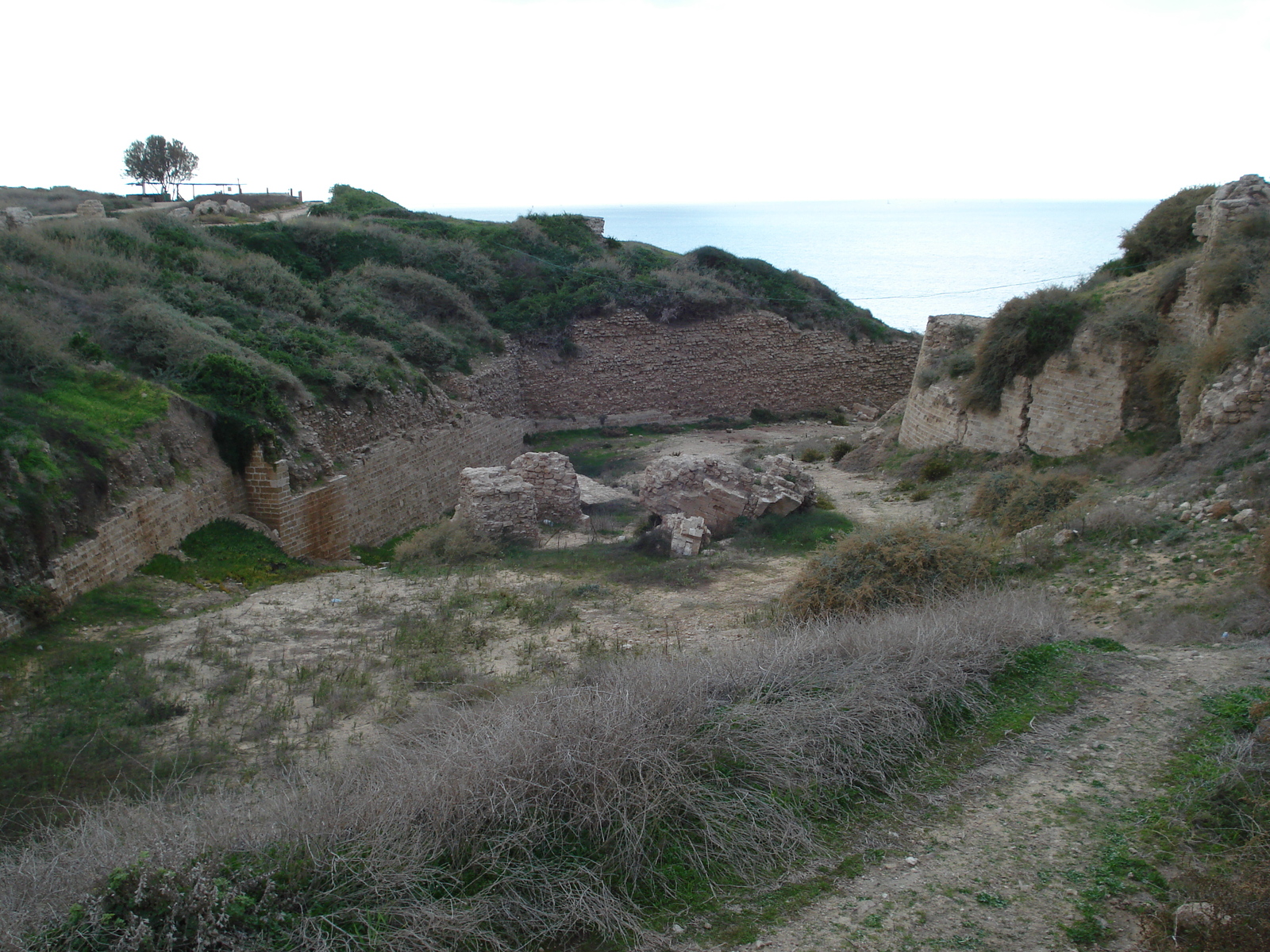 รูปถ่าย อิสราเอล(Israel) อปอลโลเนีย(Apollonia) 2006-12 45