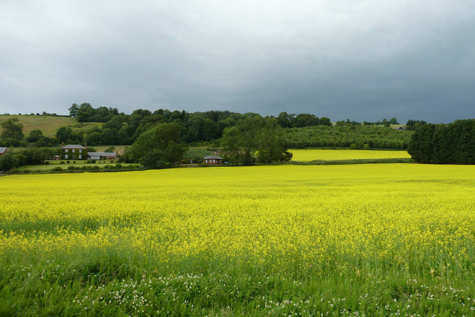 รูปถ่าย อังกฤษ(United Kingdom) สกอตแลนด์(Scotland) 2011-07 115