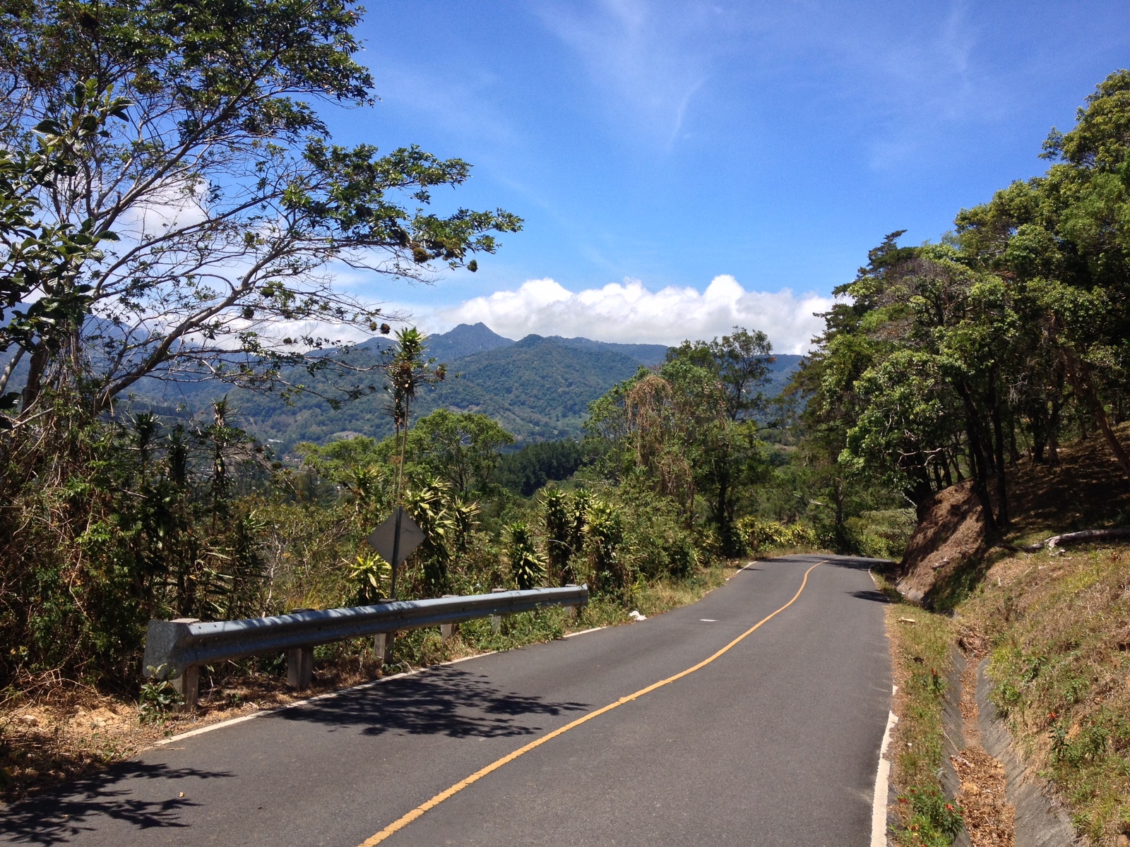 รูปถ่าย ปานามา(Panama) โบเกเต(Boquete) 2015-03 103