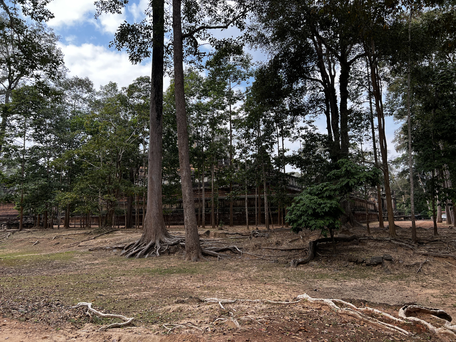 รูปถ่าย กัมพูชา(Cambodia) เสียมราฐ(Siem Reap) ปราสาทตาแก้ว(Ta Keo) 2023-01 17