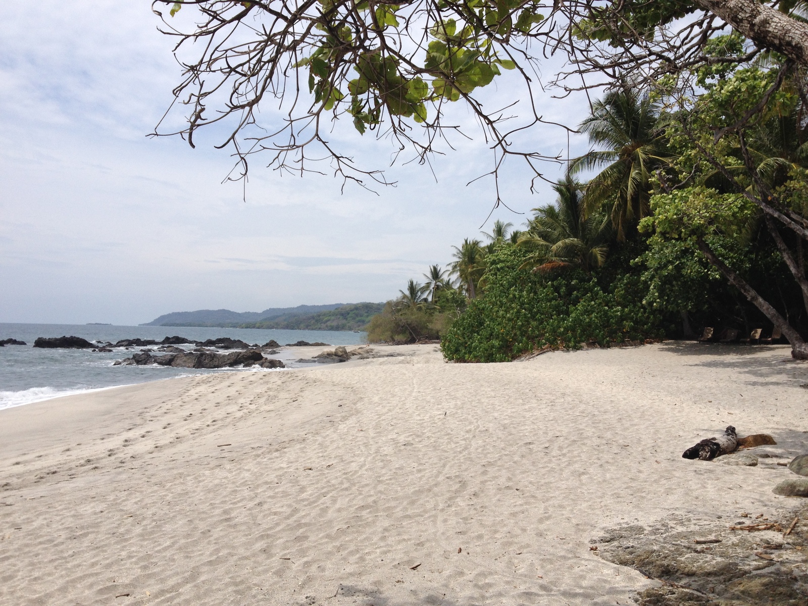 รูปถ่าย คอสตาริกา(Costa Rica) มอนเตซูมา(Montezuma) 2015-03 41