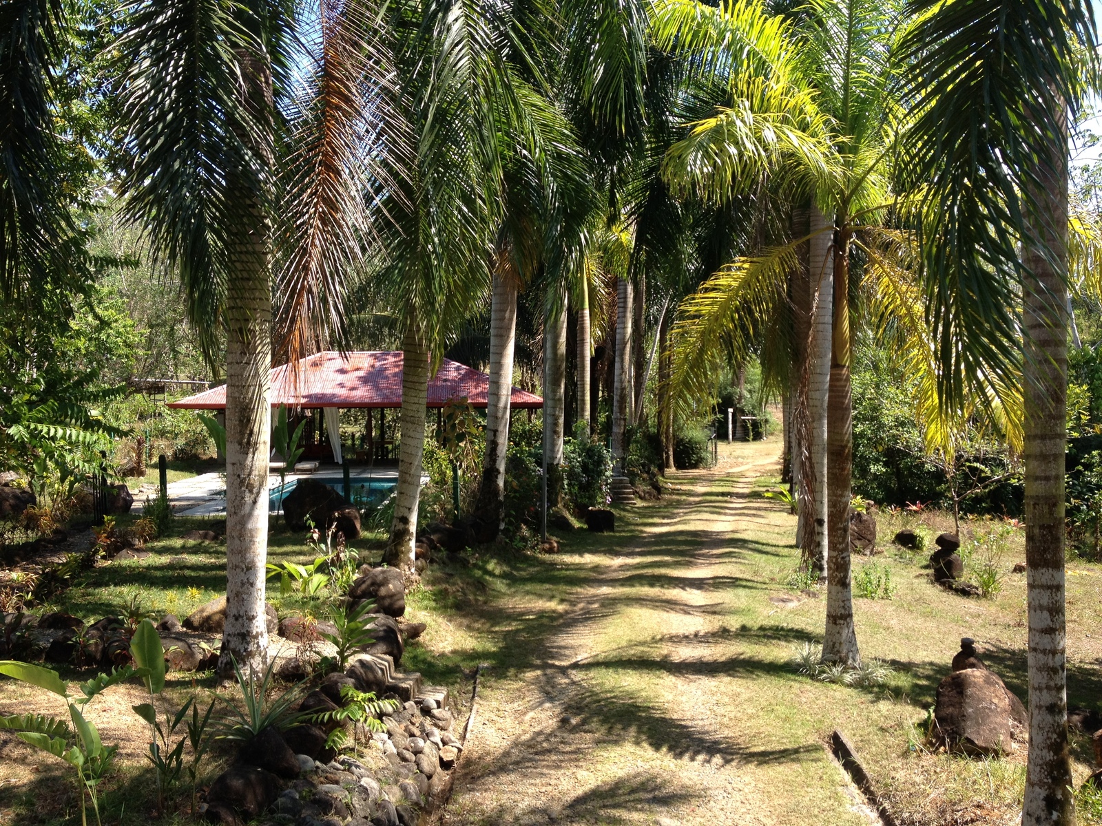 รูปถ่าย คอสตาริกา(Costa Rica) อูบีตา(Uvita) 2015-03 80