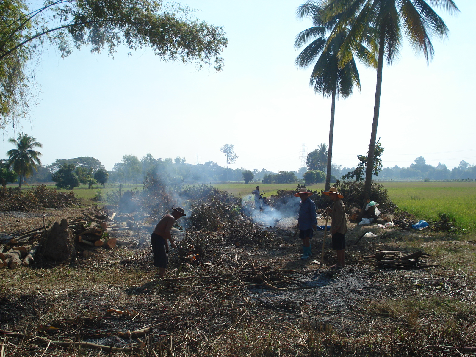 รูปถ่าย ไทย(Thailand) พิษณุโลก(Phitsanulok) 2008-01 17
