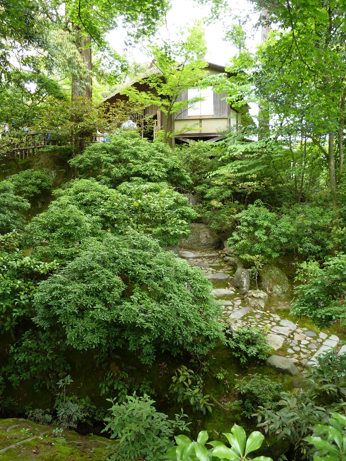 รูปถ่าย ญี่ปุ่น(Japan) เกียวโต(Kyoto) วัดคินกะกุจิ (ศาลาทอง)(Kinkakuji Temple(Golden Pavilion)) 2010-06 44