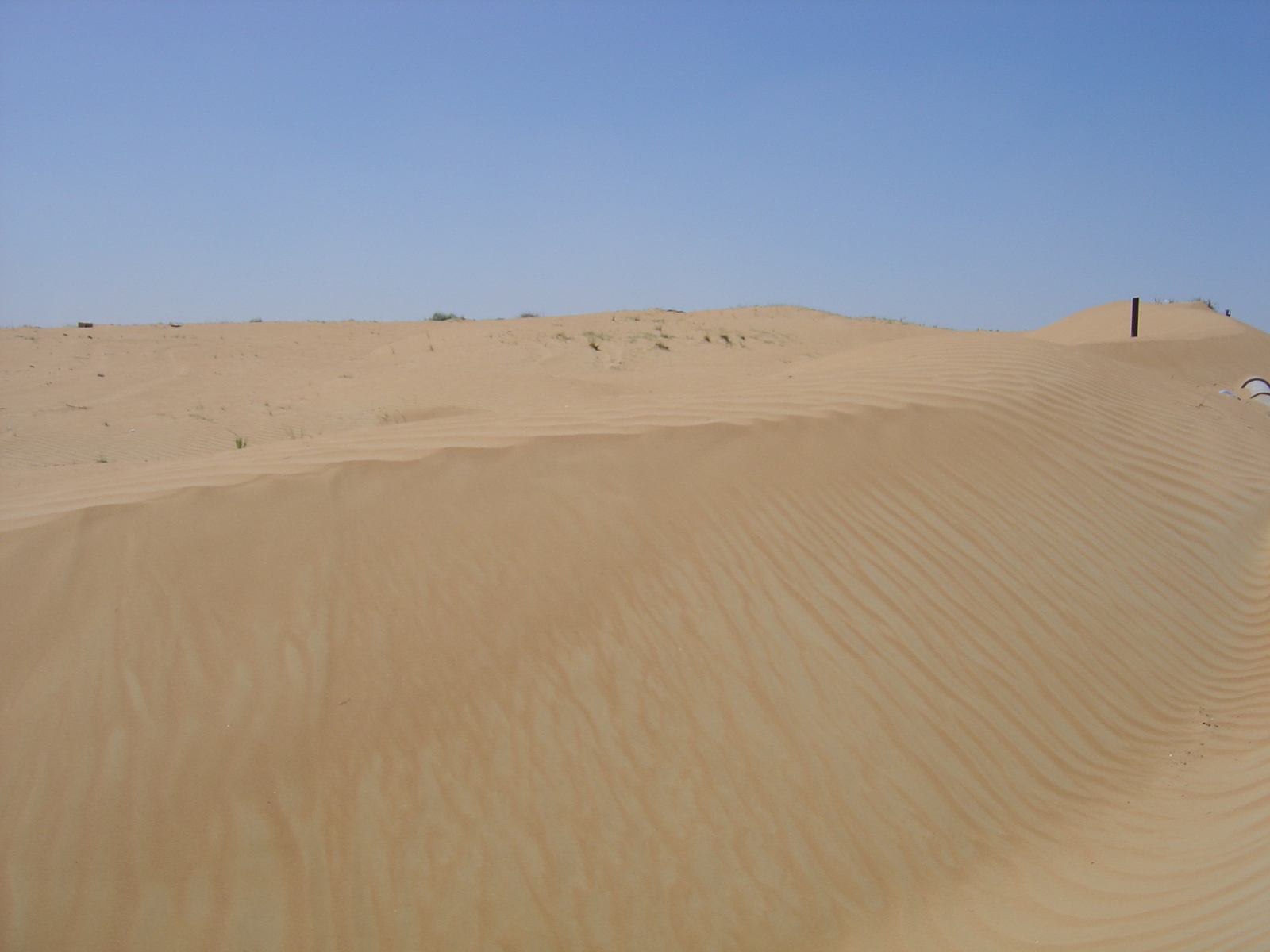 รูปถ่าย สหรัฐอาหรับเอมิเรตส์(United Arab Emirates) ถนนใกล้อาจแมน(Road near Ajman) 2005-03 6