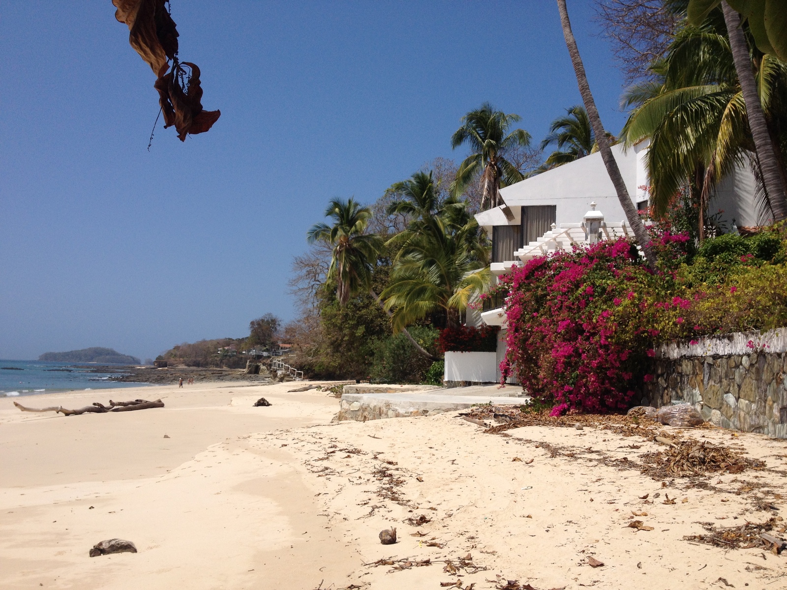 รูปถ่าย ปานามา(Panama) เกาะคอนตาโดรา(Contadora Island) 2015-03 124