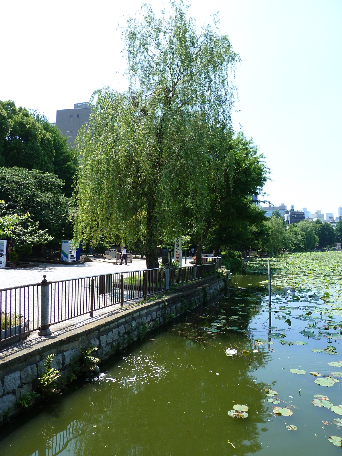 รูปถ่าย ญี่ปุ่น(Japan) โตเกียว(Tokyo) อุเอโนะ(Ueno) 2010-06 87