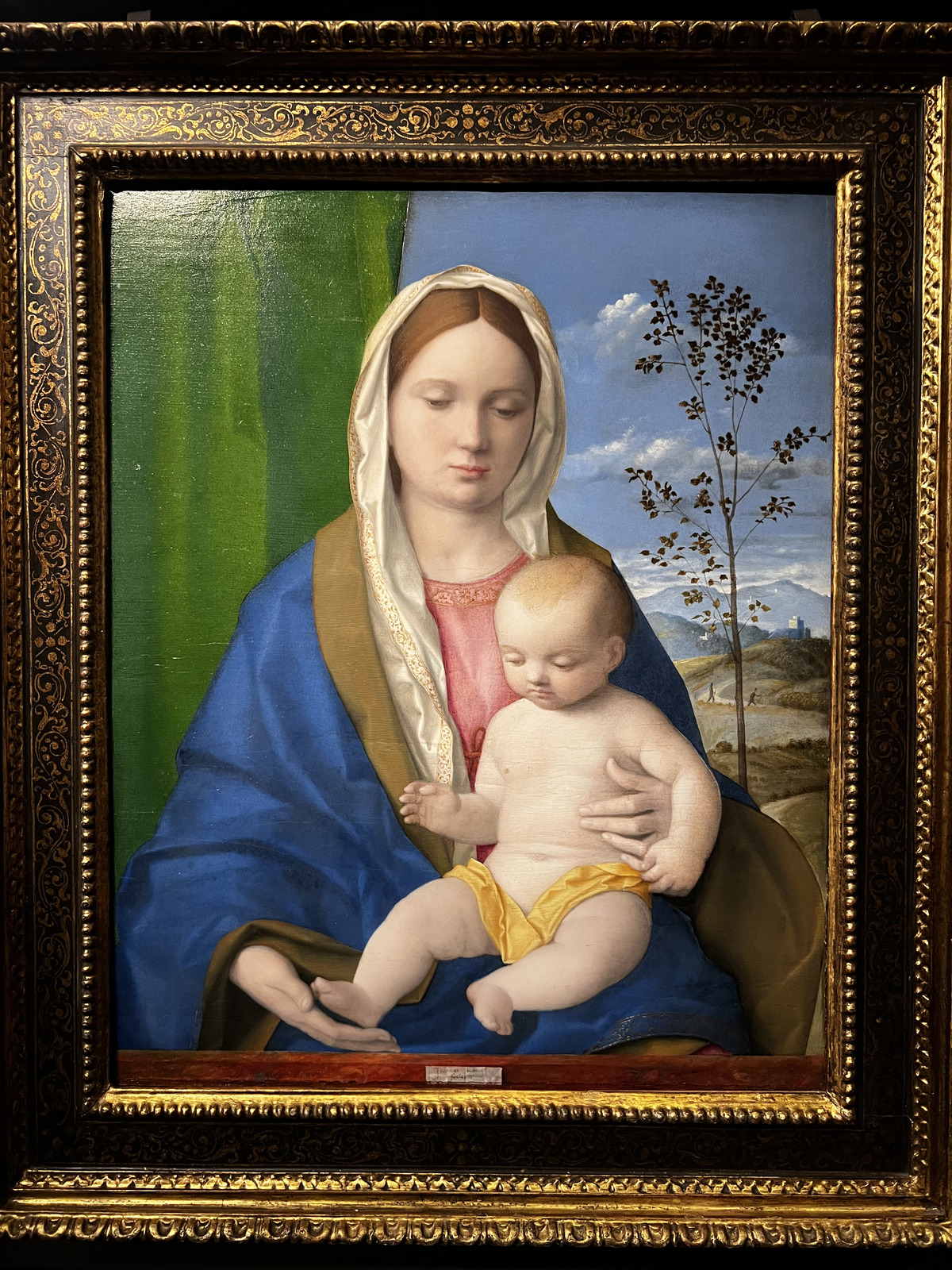 รูปถ่าย ฝรั่งเศส(France) ปารีส(Paris) พิพิธภัณฑ์ฌักมาร์-อ็องเดร(Jacquemart Andre Museum) 2023-04 89