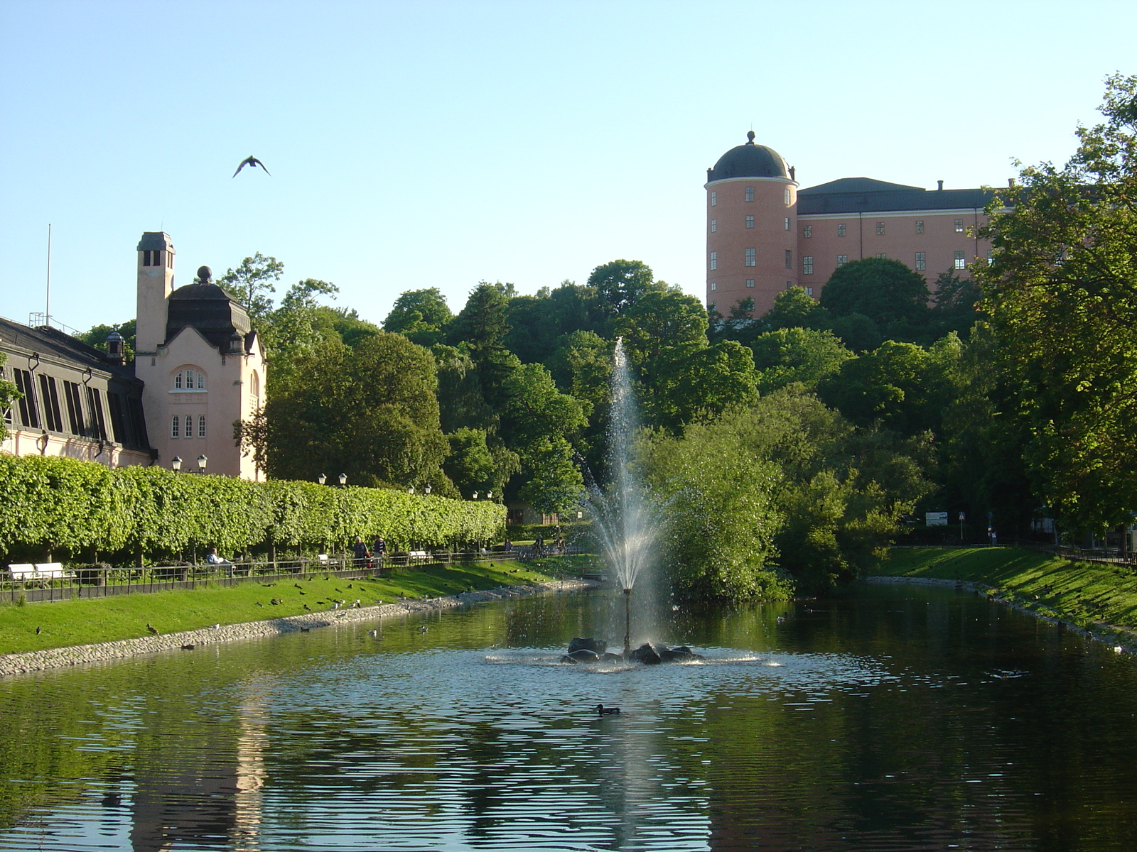 รูปถ่าย สวีเดน(Sweden) อัปป์ซาลา(Uppsala) 2005-06 51