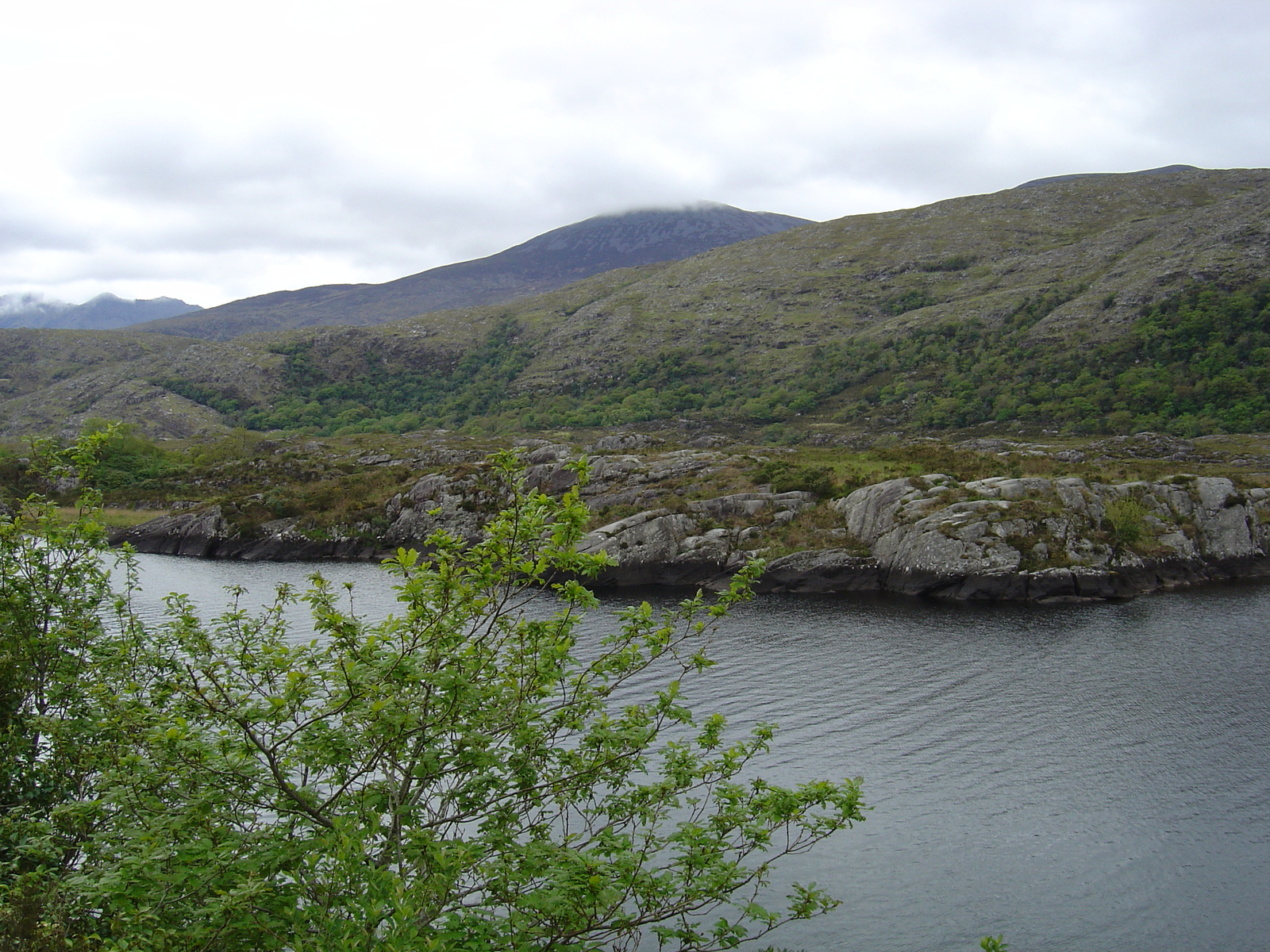 รูปถ่าย ไอร์แลนด์(Ireland) เคอร์รี่(Kerry) สวนสาธารณะคิลลาร์นีย์เนชั่นเนล(Killarney National Park) 2004-05 24