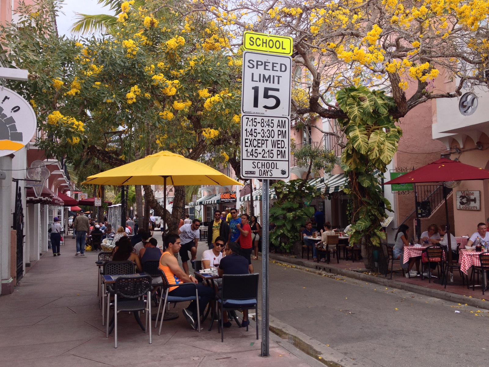รูปถ่าย สหรัฐอเมริกา(United States) ไมแอมีบีช(Miami Beach) 2015-03 80