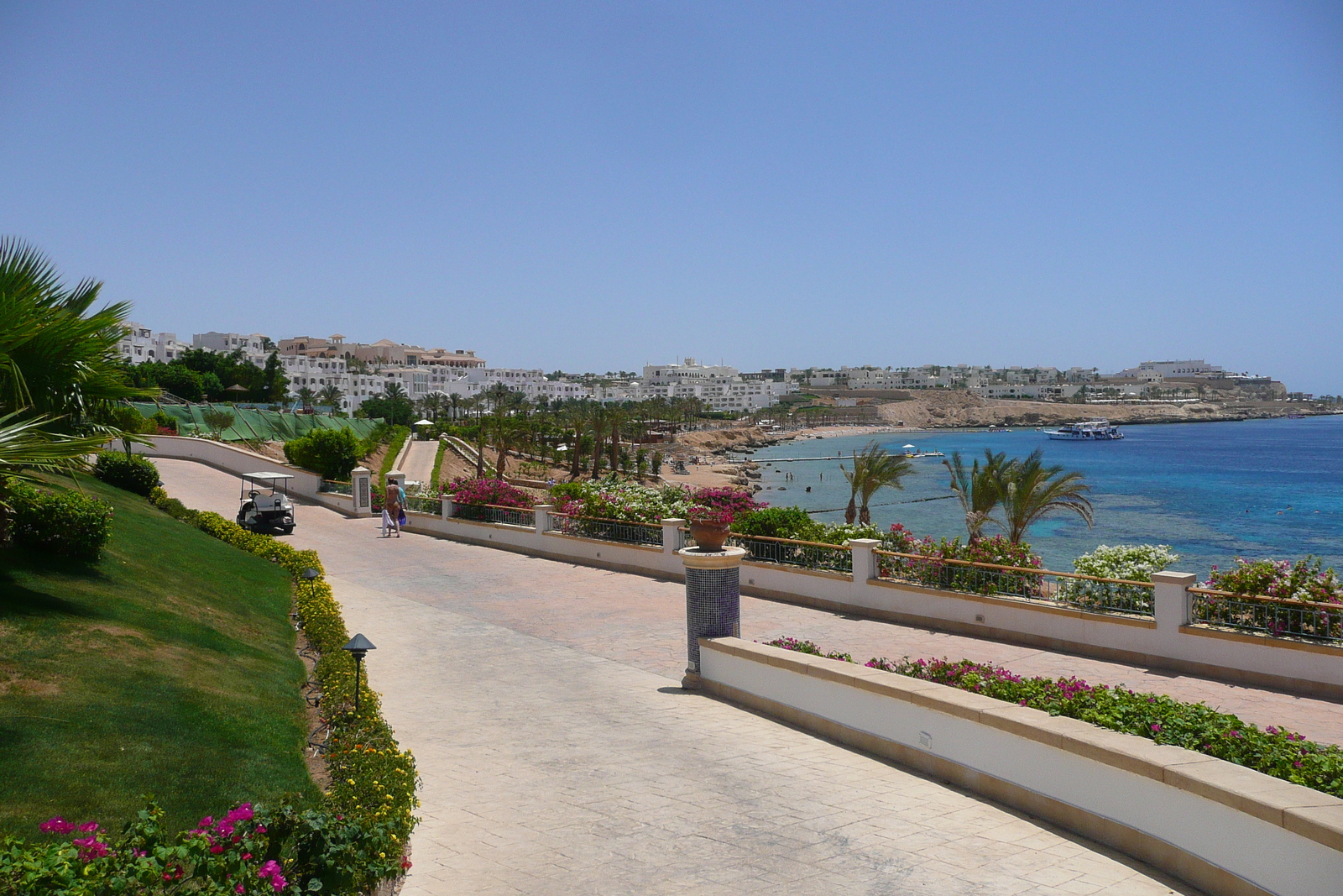 รูปถ่าย อียิปต์(Egypt) ชาร์มเอลชีค(Sharm el Sheikh) โรงแรมไฮแอต(Hyatt Hotel) 2008-06 17
