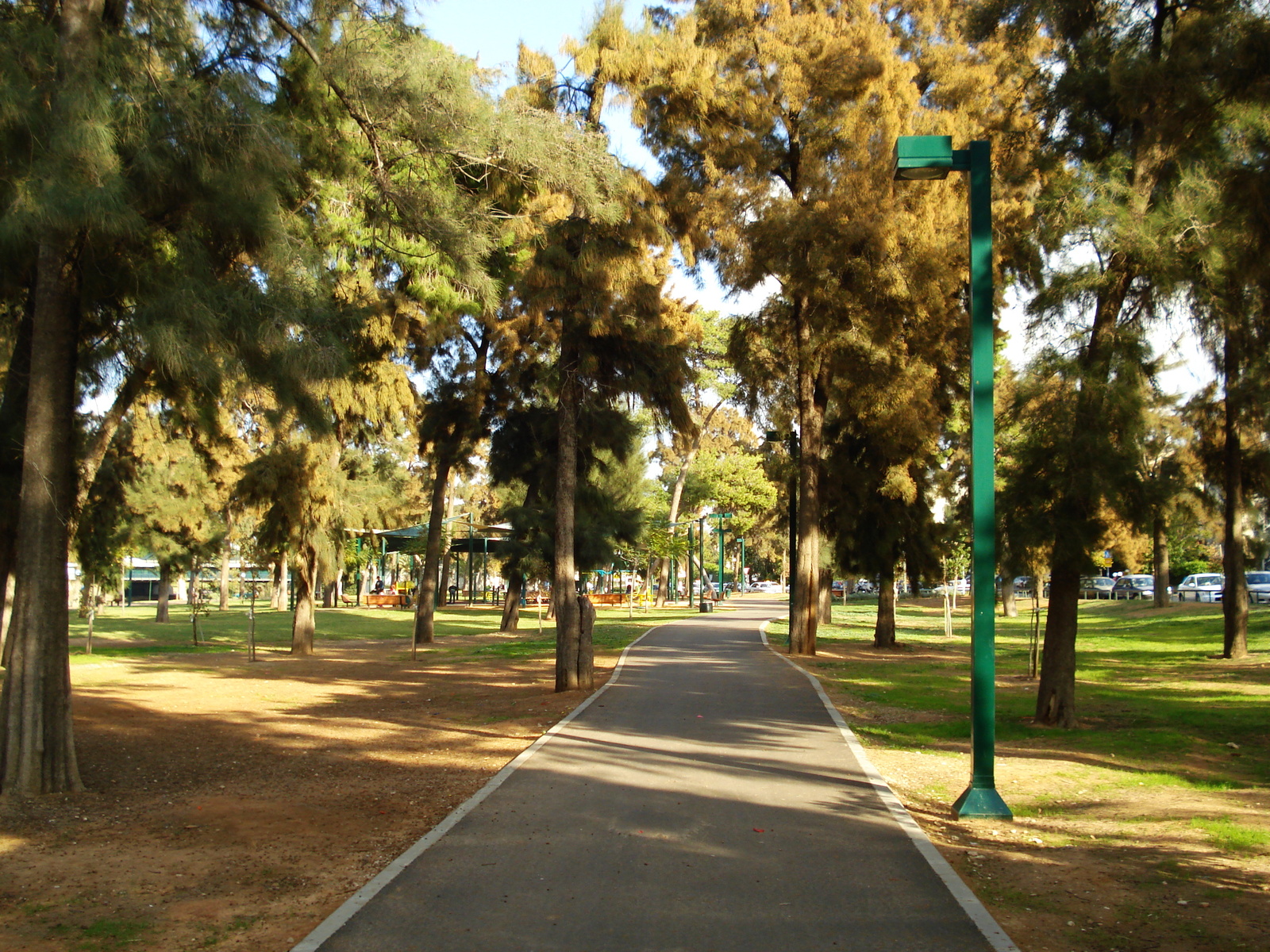 รูปถ่าย อิสราเอล(Israel) เทลอาวีฟ(Tel Aviv) 2006-12 99