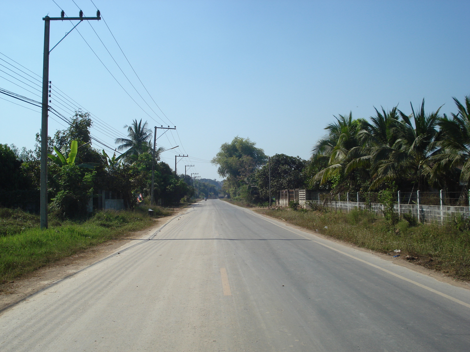 รูปถ่าย ไทย(Thailand) พิษณุโลก(Phitsanulok) 2008-01 10
