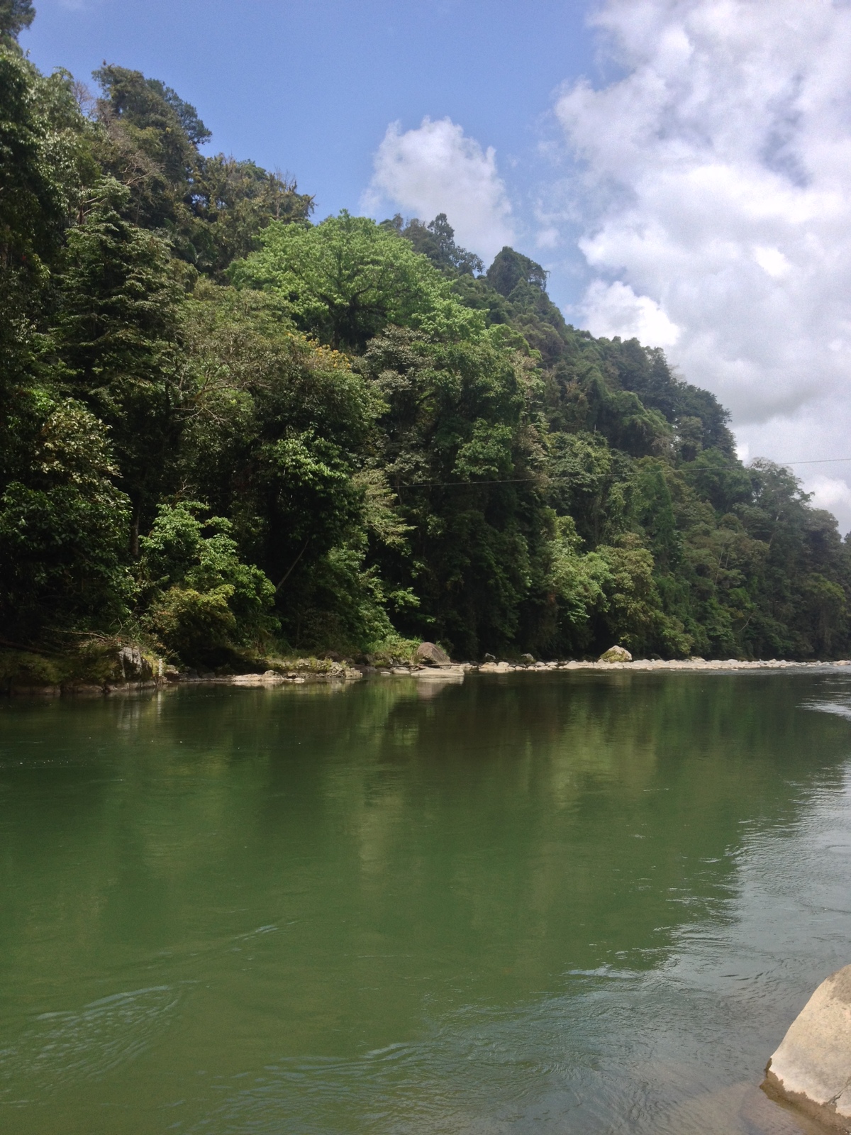 รูปถ่าย คอสตาริกา(Costa Rica) แม่น้ำปากัวเร(Pacuare River) 2015-03 193