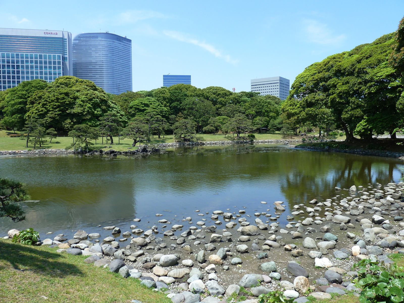 รูปถ่าย ญี่ปุ่น(Japan) โตเกียว(Tokyo) สวนฮามะริคิว(Hama rikyu Gardens) 2010-06 34