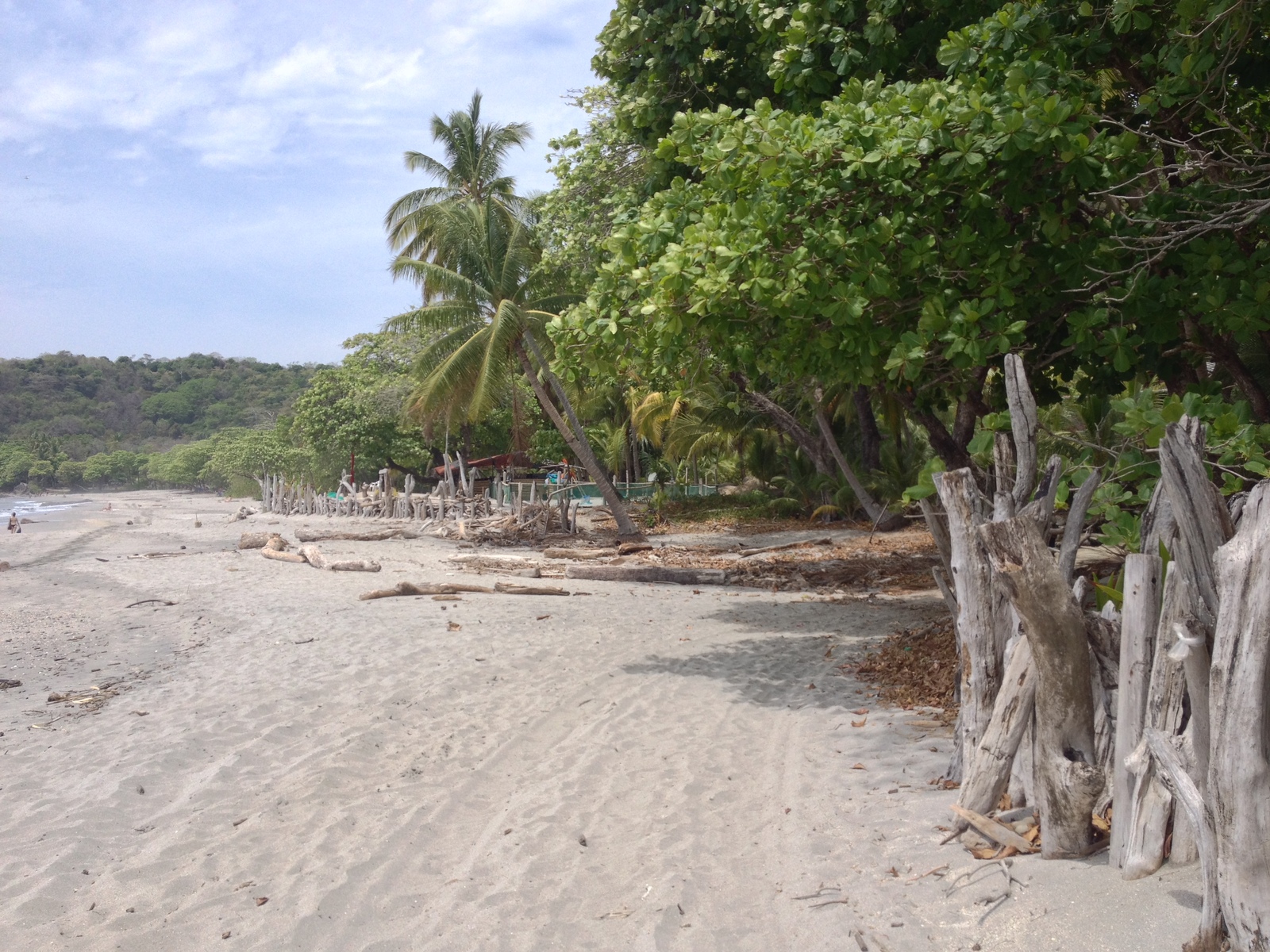รูปถ่าย คอสตาริกา(Costa Rica) มอนเตซูมา(Montezuma) 2015-03 619